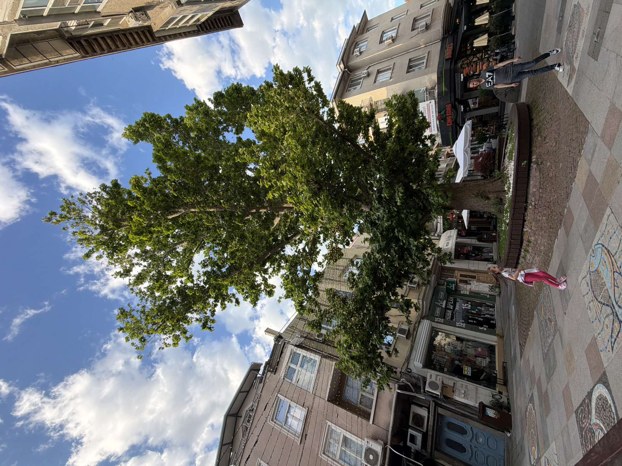 Captured from a low angle, the image portrays a city street in Burgas, Bulgaria, where a large, verdant tree dominates the view, framed by buildings on either side and a sky speckled with clouds. The street is lined with shops and eateries, identifiable by awnings and signs in Cyrillic script. Two individuals are visible: a man in a t-shirt and jeans stands in front of a restaurant, and a girl in pink pants and a white shirt stands nearby. The pavement is patterned with mosaic tiles, some depicting marine life, indicative of the city's coastal location. The scene suggests a sunny day in a bustling urban environment.