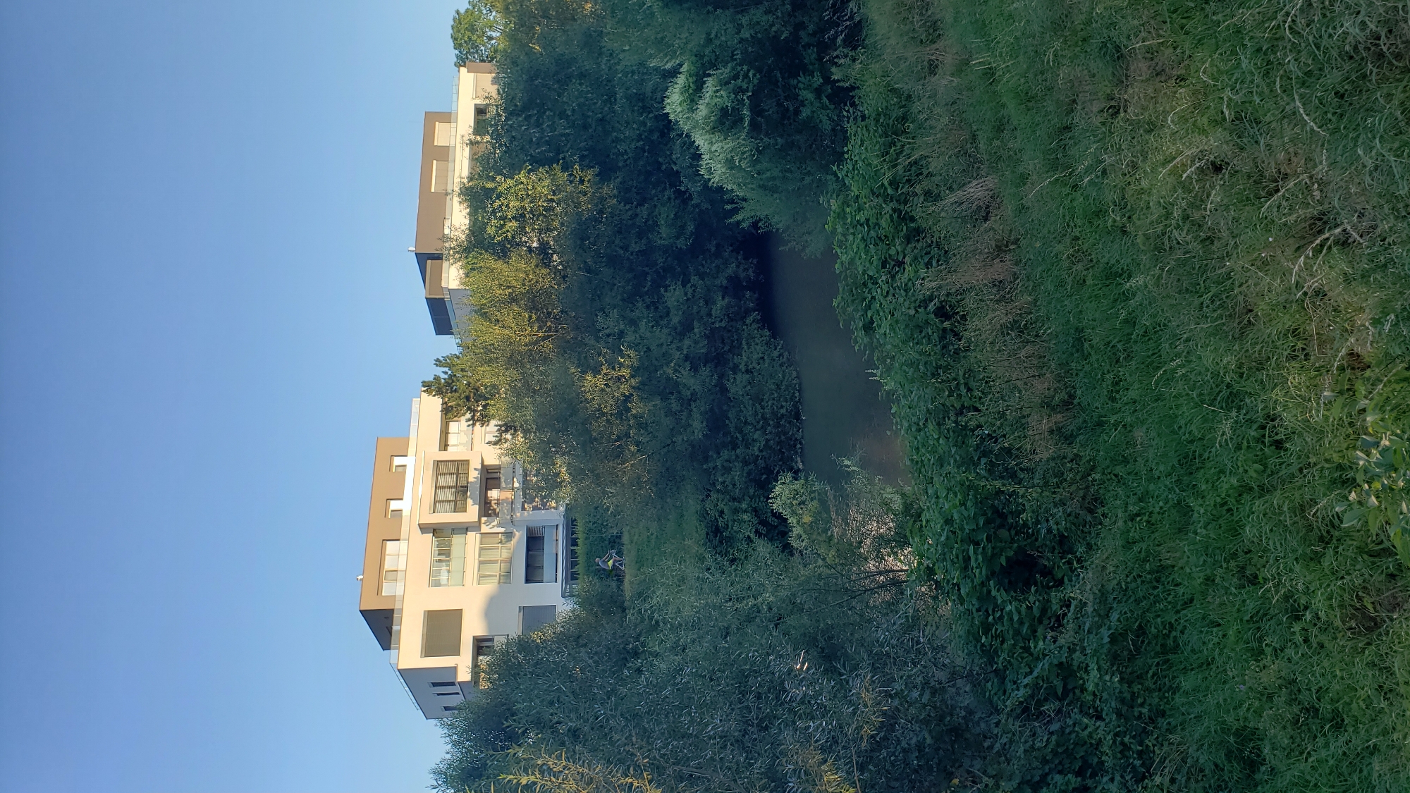The image depicts a scene with modern apartment buildings in the background, partially obscured by lush green trees and vegetation. In the foreground, a body of water, possibly a river or pond, is visible, bordered by dense foliage and tall grass. A person is seen riding a bicycle on a grassy embankment between the trees and the buildings. The sky is clear and blue, suggesting a daytime setting. The architectural style of the buildings indicates a contemporary urban environment, possibly a newly developed residential area.