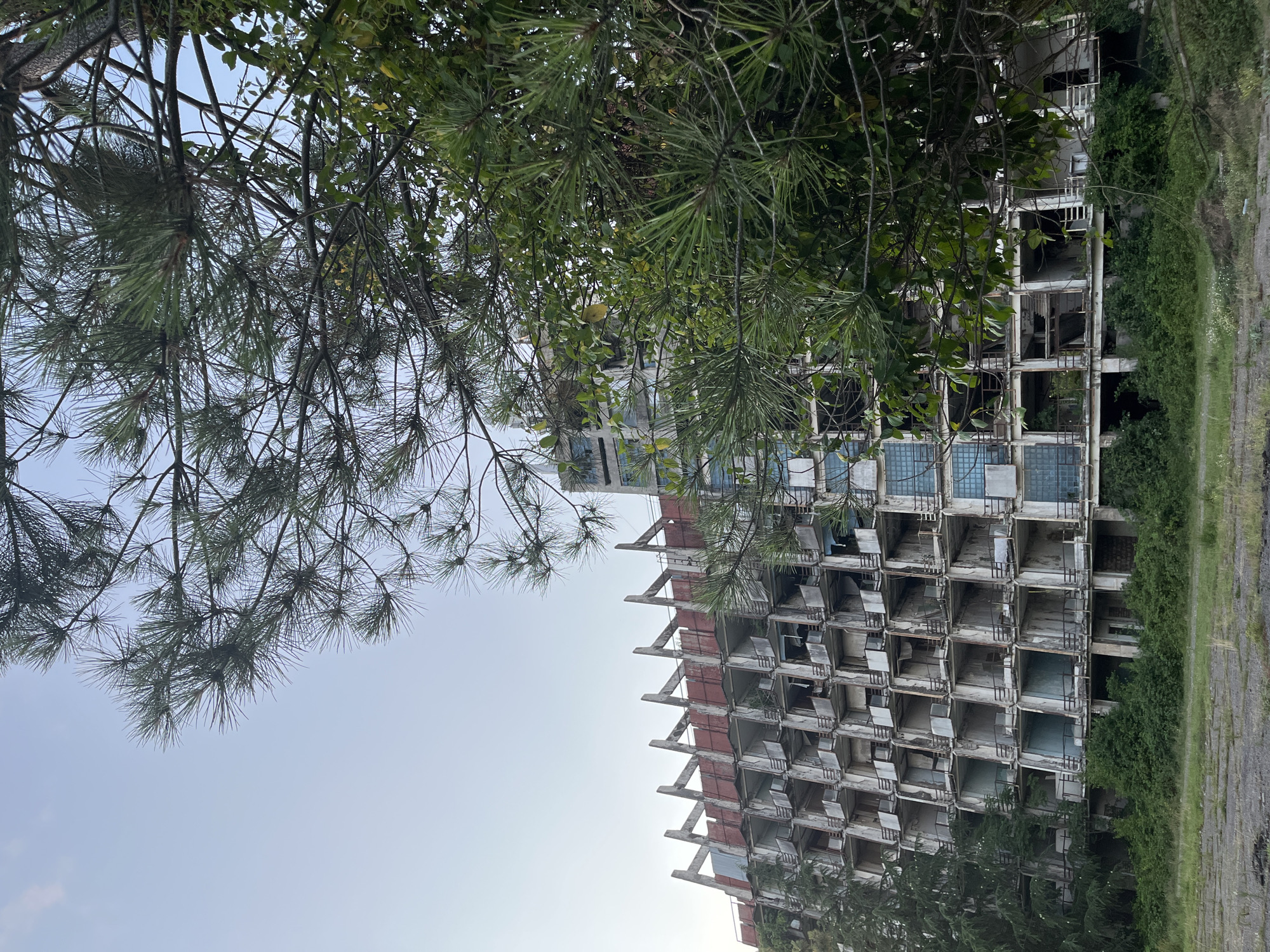 This is a photograph of the abandoned Soviet-era hotel, "Ureki" in Ureki, Georgia, taken from a low angle. The foreground features overgrown grass and some loose gravel. The middle ground is dominated by the dilapidated structure of the hotel, which appears to be a multi-story building with numerous balconies and open, empty rooms. Some windows remain, many of which are tinted blue. The building's concrete facade is weathered and stained, with visible signs of decay and neglect. The top of the building has a distinctive red railing and angular, concrete supports. Lush green foliage, including trees and vines, encroaches on the structure, particularly at the base and on some of the balconies. The upper portion of the frame is filled with the branches and needles of a large pine tree, which partially obscures the sky. The sky itself is a pale, overcast blue. No people are visible in the image.