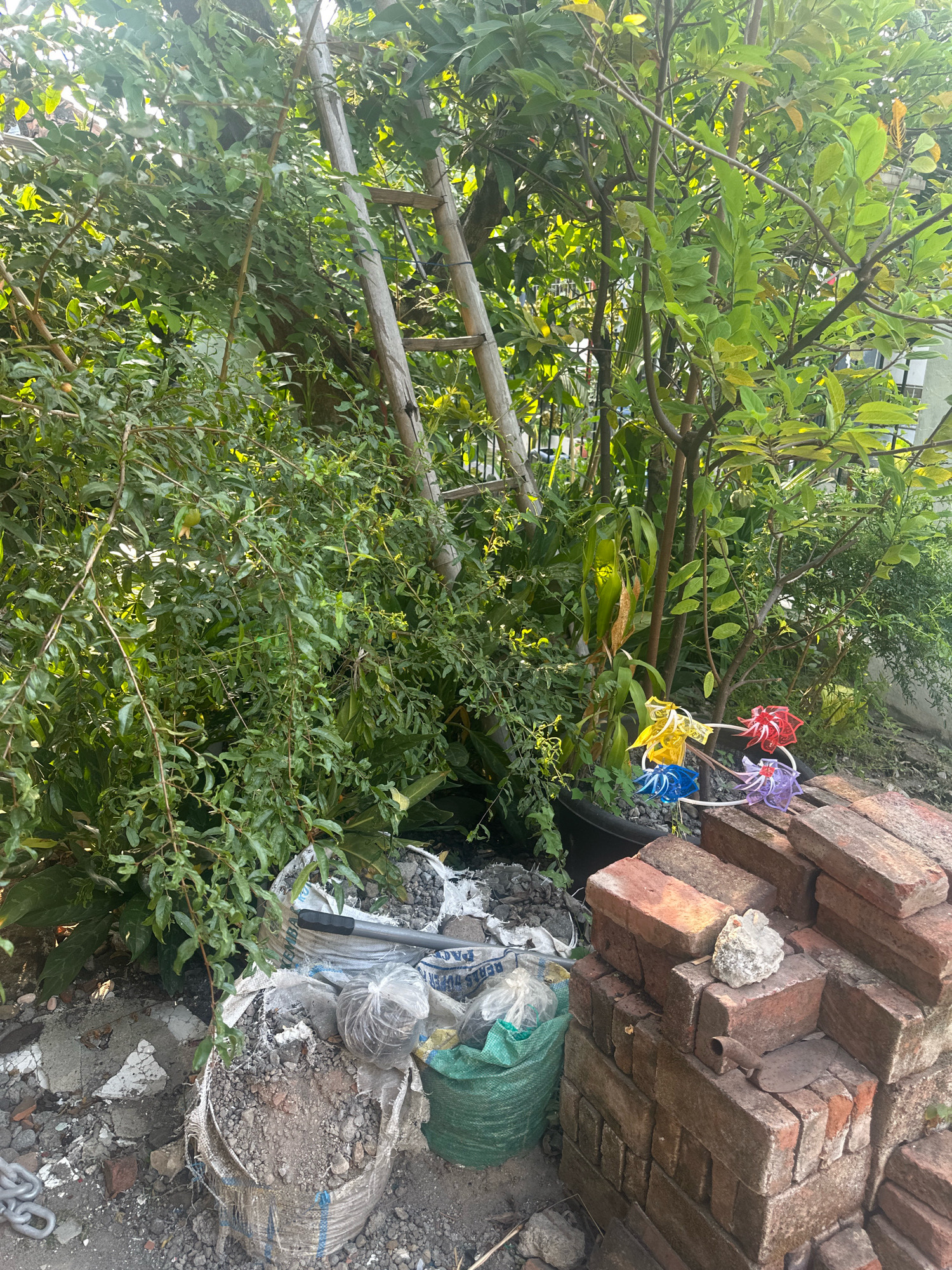 An outdoor scene in Mojokerto, Indonesia, features a jumble of garden materials and construction debris. A wooden ladder leans against lush green foliage, while a stack of red bricks sits in the foreground, topped with a piece of white rock and a small rusted trowel. Next to the bricks, a black plastic pot holds a colorful garden ornament with blue, yellow, red, and purple pinwheels. Partially visible behind the pot is a black trash bin. In the lower left of the image, several sacks, one white and one green, are filled with dirt and rubble. The ground is a mixture of dirt, gravel, and broken concrete pieces. A metal chain is also visible on the ground.