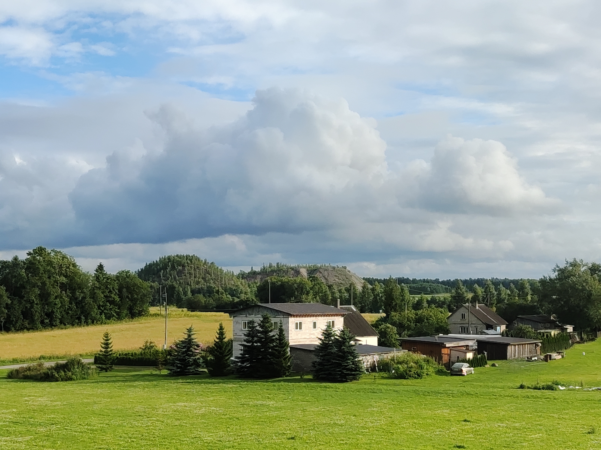 The image depicts a rural landscape in Edise, Estonia, under a dynamic sky filled with large, white cumulus clouds against a backdrop of blue sky. In the foreground, a meticulously mown green lawn stretches across the scene. Behind the lawn, several buildings are visible. A light-colored, multi-story house with a dark roof is prominent, flanked by tall evergreen trees. To the right of this house, a series of outbuildings and sheds, constructed from wood and corrugated metal, are arranged along a fence line. One of these outbuildings has a vintage car parked in front of it. Further back, a mature forest borders a field of golden-yellow crops, possibly wheat or barley. In the distance, a distinctive conical hill, covered with dense forest, rises above the treeline, with a lighter, exposed section on its upper slope. A single utility pole stands near the center of the image, between the foreground and the distant hill. The overall impression is one of a serene, pastoral setting.