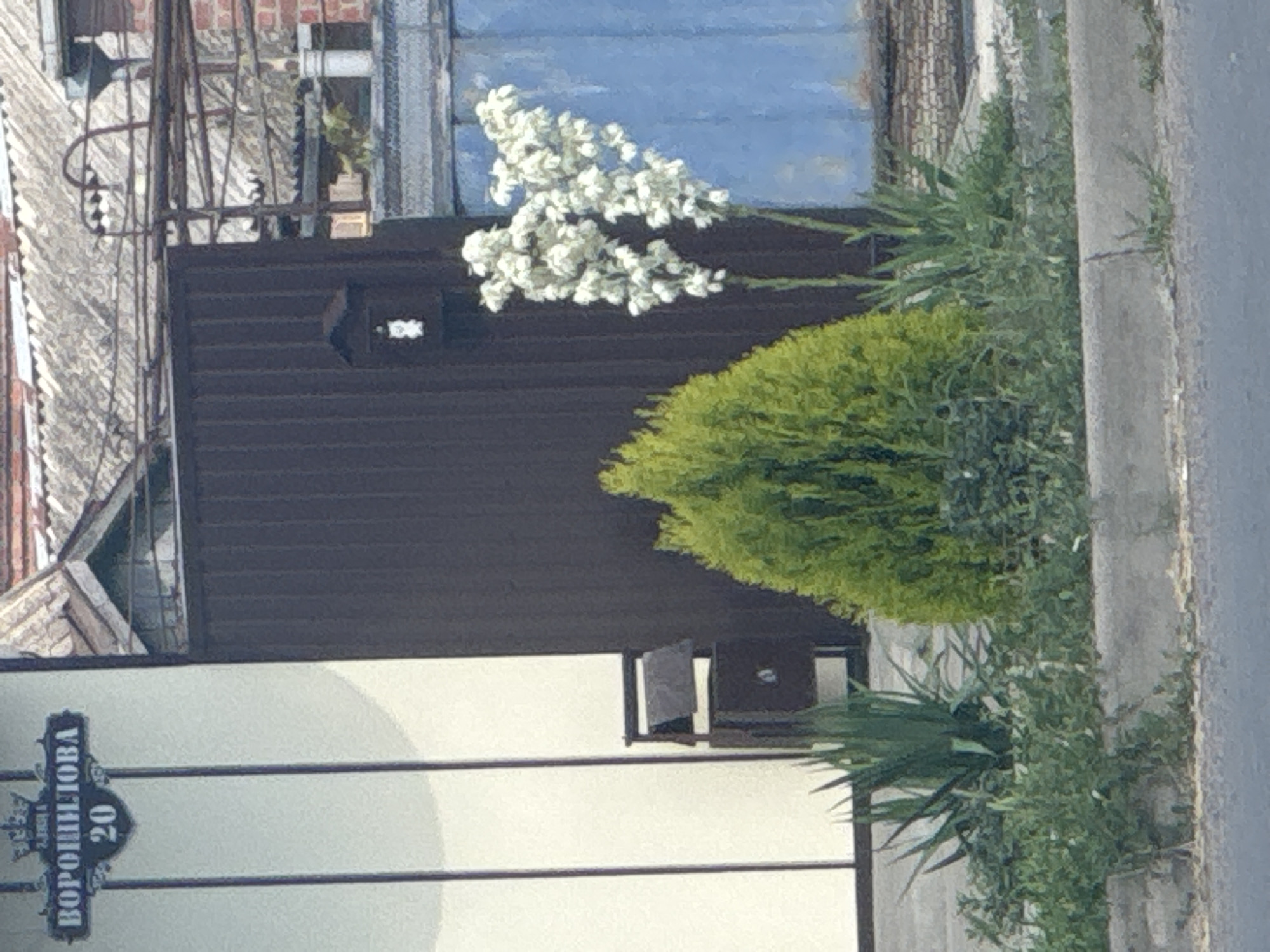 This image shows a street sign with Russian text and numerals, oriented vertically. The sign reads "ВОРОШИЛОВА 20", indicating "Voroshilova 20". To the left of the sign is a cream-colored building with horizontal dark lines. Behind the building, a dark brown fence is visible. Above the fence, a cluster of white flowers on a branch extends into the frame, and a large, rounded green bush is situated in front of the fence. Further back, a blue surface, possibly a wall or structure, can be seen. The scene appears to be outdoors in daylight, with natural light illuminating the area. The overall setting suggests a residential or commercial street in Yegorlykskaya, Russia. There are no people or active events depicted.