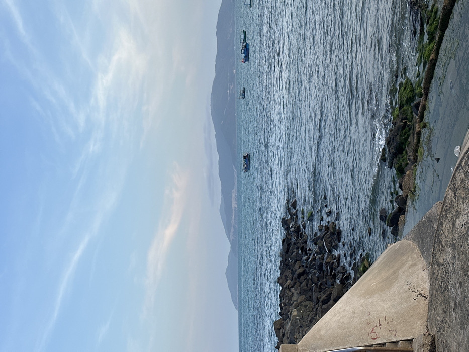 The image depicts a coastal scene in Nha Trang, Vietnam, under a pale blue sky with wispy white clouds. In the foreground, a light-grey concrete sea wall or pier section, exhibiting minor graffiti in red and black, anchors the lower left. Adjacent to the concrete, a line of dark, irregular rocks forms the immediate shoreline, with some sections covered in vibrant green algae. Small, dark detritus floats in a calm pool of water near the concrete. The midground features the open ocean, characterized by subtle ripples and a blue-green hue. Six small, traditional wooden fishing boats, predominantly blue with one appearing greenish, are dispersed across the water, stationary. In the background, a series of dark, undulating mountains extends along the horizon, receding into the atmospheric haze above the sea. The overall lighting is soft and diffused, indicating either early morning or late afternoon. No individuals are visible, and no overt actions are occurring beyond the static presence of the boats.
