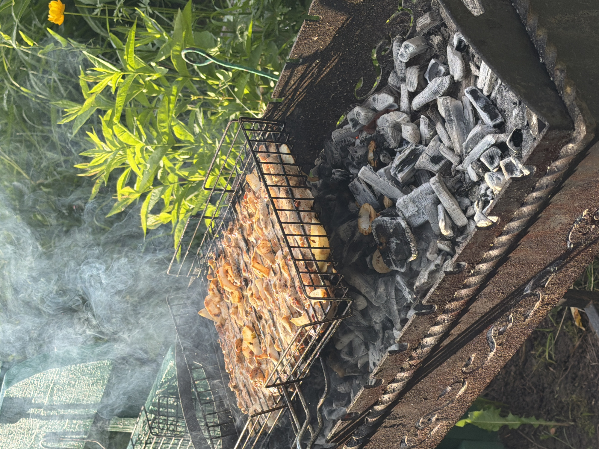 The image depicts an outdoor barbecue scene with food cooking on a grill over hot coals. The grill basket contains meat and onions, some of which appear to be seasoned. Smoke is rising from the grill, indicating that the cooking process is underway. The barbecue is situated in a natural, grassy environment with lush green foliage in the background, including a single yellow flower. The barbecue itself is a rustic, metal brazier with visible signs of rust and use. The ground around the barbecue appears to be soil and dry grass. There are no people visible in the image. The overall scene suggests a casual outdoor meal being prepared. The context of Petukhi, Russia, implies this setting could be a dacha (country house) or a park.