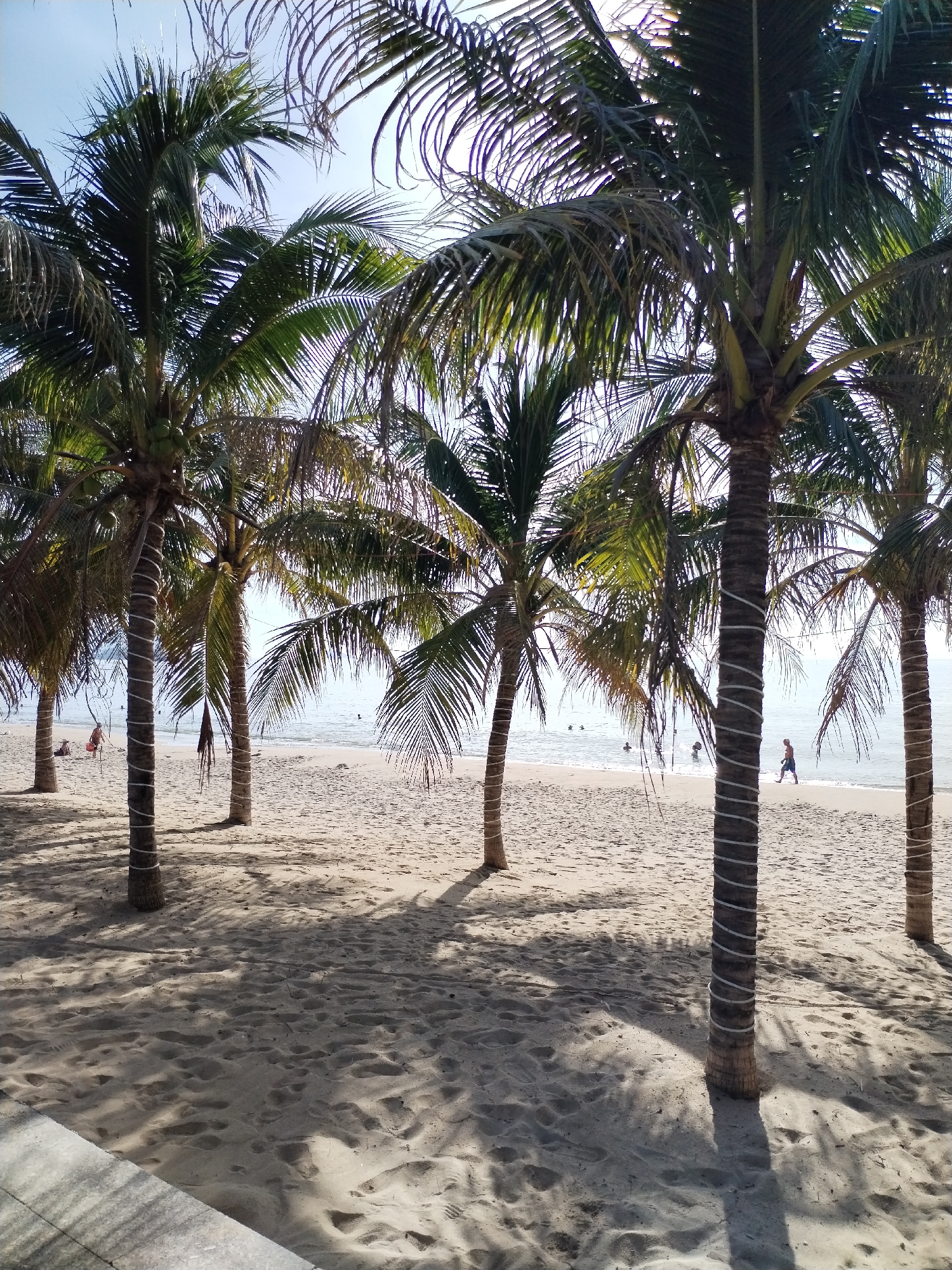The image depicts a beach scene in Nha Trang Ward, Vietnam. Several palm trees with ropes wrapped around their trunks line the sandy beach. In the background, the ocean meets the horizon under a bright sky. People are scattered along the beach and in the water, engaging in activities like walking and swimming. Shadows from the palm trees stretch across the sand in the foreground. The lower left corner shows a concrete area.
