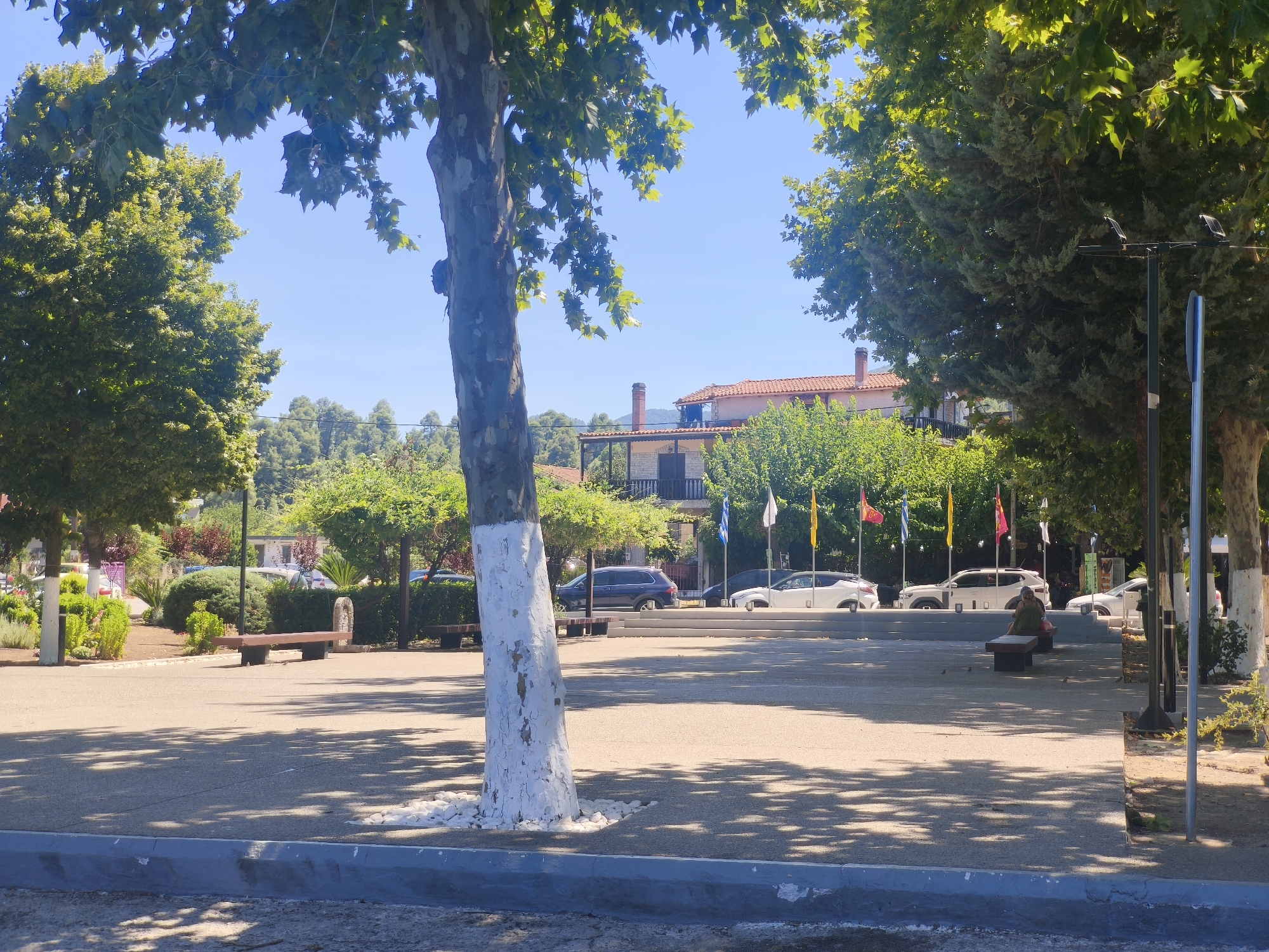 The image captures a sunlit public square in Prokopi, Greece, featuring a large tree with a white-painted trunk positioned prominently in the foreground, casting dappled shadows on the paved ground. Several benches are visible, with one occupied by a person sitting with their back to the camera. In the background, a row of cars is parked near a building with a red-tiled roof, and a series of flags are displayed on poles. Lush green trees and foliage surround the square, indicating a warm, outdoor setting. The sky is clear and blue.