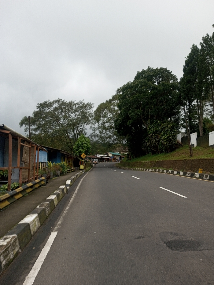 The image captures a two-lane asphalt road in Bangtsho, Bhutan, under an overcast sky. The road features a solid white line on the left shoulder and dashed white lane markers. Both sides of the roadway are lined with curbs composed of alternating black and white concrete blocks. On the left, a yellow and black striped barrier is visible, beyond which a series of single-story structures with corrugated roofs and various colored facades (blue, yellow, brown) stand, appearing to be small shops or dwellings. A yellow diamond-shaped road sign is present among the buildings on the left. Green trees are abundant on both sides of the road and in the background. On the right, an elevated grassy slope with some retaining walls is densely covered with trees, including tall conifers, and a white retaining wall or fence. The road curves gently to the left and ascends into the distance, where more buildings and dense vegetation are visible. No individuals or active vehicles are present in the foreground or mid-ground.