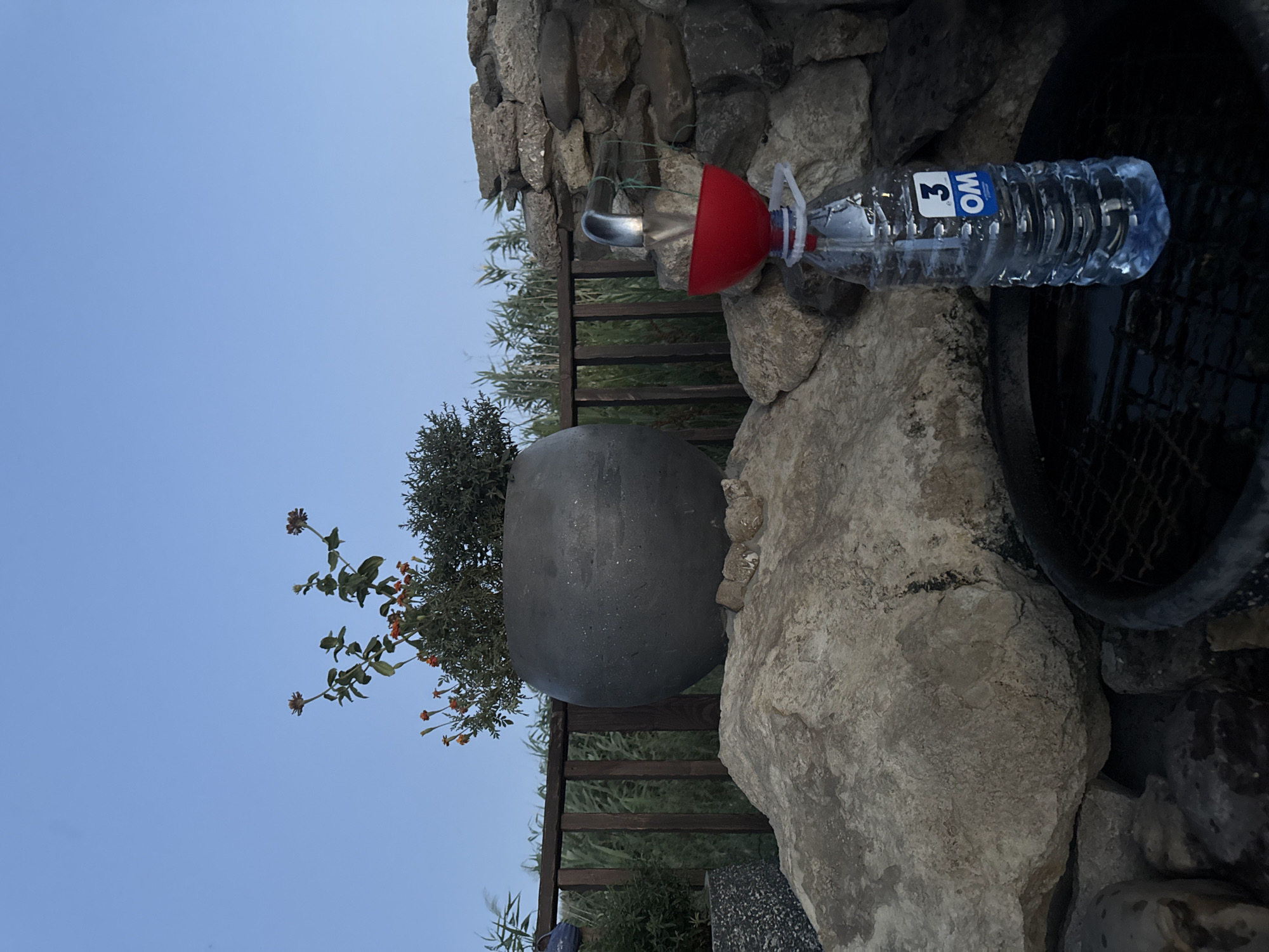 The image shows an outdoor scene with a clear blue sky above. In the foreground, a large rock formation is visible, with a metal grate and a dark circular object beneath it. To the right of the rocks, a clear plastic bottle filled with water is positioned vertically, with a red funnel attached to its opening. A metal spout is inserted into the funnel, with water dripping from it into the funnel. A blue and white label with the number "3" and the letters "OM" is affixed to the bottle.
Behind the rock formation, a large, dark, spherical pot containing plants with orange flowers and green foliage is placed on a wooden railing. To the left of the pot, another dark, textured planter is visible. The background consists of tall green reeds or grasses and a stone wall. The overall setting appears to be a garden or an outdoor recreational area. The image does not contain any discernible elements that would specifically place it in the city of Cimișlia, Moldova.