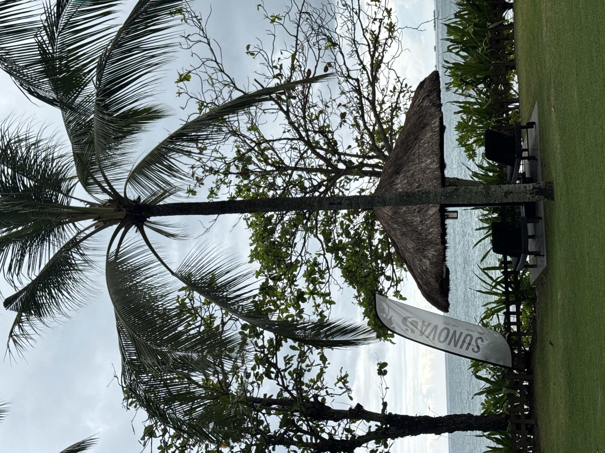 The image shows a coastal scene in Kuta Selatan, Indonesia. A tall palm tree dominates the left side, its fronds extending towards the top and partially obscuring the overcast sky. Adjacent to the palm tree is another tree with thinner branches and smaller leaves. In the middle ground, there is a thatched-roof structure. A sign with the word "Sunova" is visible in front of the structure. Behind the structure, the ocean stretches out to the horizon. Two chairs are positioned on a grassy area adjacent to the ocean.