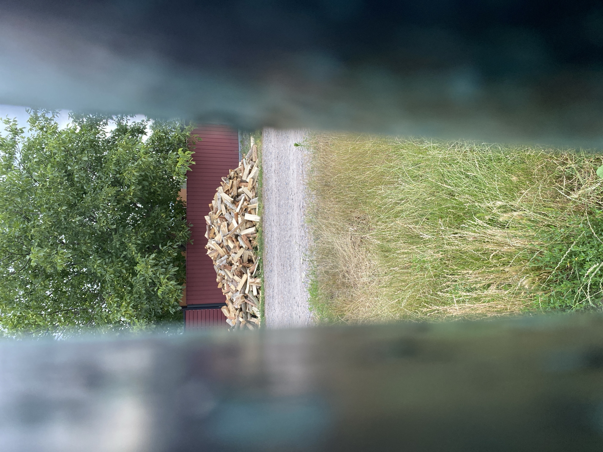 The image captures a rustic outdoor scene, viewed through a blurred foreground that suggests looking through a fence or window. In the center of the frame, a pile of chopped firewood is stacked neatly against a dark red wooden building. To the left of the firewood, a lush green tree with dense foliage dominates the background. To the right of the firewood and building, a gravel path stretches horizontally, bordered by a field of tall, dry grass on the far right. The lighting suggests it's daytime, possibly late afternoon or early evening due to the long shadows that might be implied but not clearly visible. The overall atmosphere is serene and rural, evoking a sense of quiet countryside living. There is no visible text in the image. The location context of Vasylky, Ukraine, aligns with this pastoral imagery, which often features traditional rural elements like wooden structures and firewood.