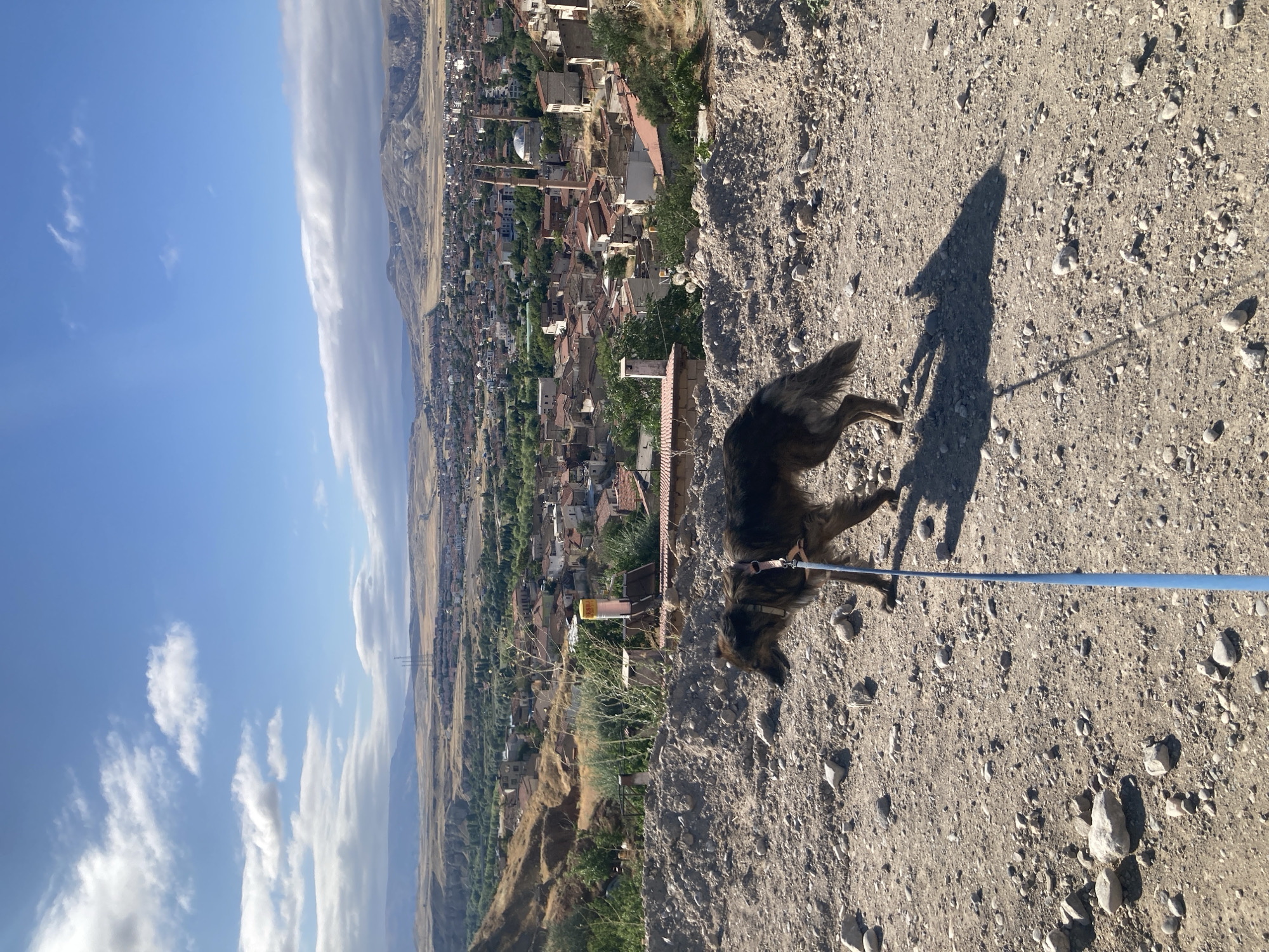 In the city of Avanos İlçe Merkezi, Turkey, a medium-sized, long-haired brown dog walks on a leash on a dirt path. The dog is facing left and appears to be looking down. The path is covered with small rocks and dirt. In the background, a city with red-tiled roofs stretches across a valley. Several mosques with minarets are visible among the buildings. The landscape beyond the city is arid and hilly, with distant mountains under a bright blue sky with scattered white clouds. The lighting suggests it is daytime, likely late morning or early afternoon.