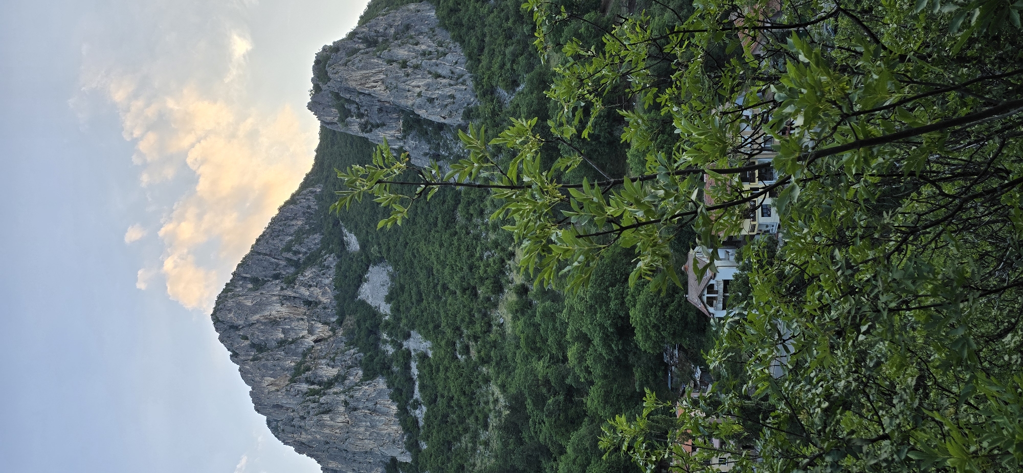 This is a sideways, long shot image of a steep, rocky mountain covered in dense green foliage. A branch with bright green leaves and a few small white buds is in the foreground, obscuring part of the view. In the background, nestled into the side of the mountain amongst the trees, are several buildings. These appear to be houses or small apartment buildings, with white and light yellow facades, and some with terracotta-colored roofs. The buildings are small in comparison to the scale of the mountain.
The sky is visible to the left of the mountain, with a few wispy clouds that are illuminated with a soft, warm orange light, suggesting either sunrise or sunset. The rest of the sky is a pale blue. The overall impression is one of a natural landscape with a small human settlement integrated into it. The lighting and the presence of clouds suggest a calm, mild weather condition. The image has a peaceful and serene atmosphere. No people are visible in the frame, and there is no visible text. The location is identified as Vratsa, Bulgaria.