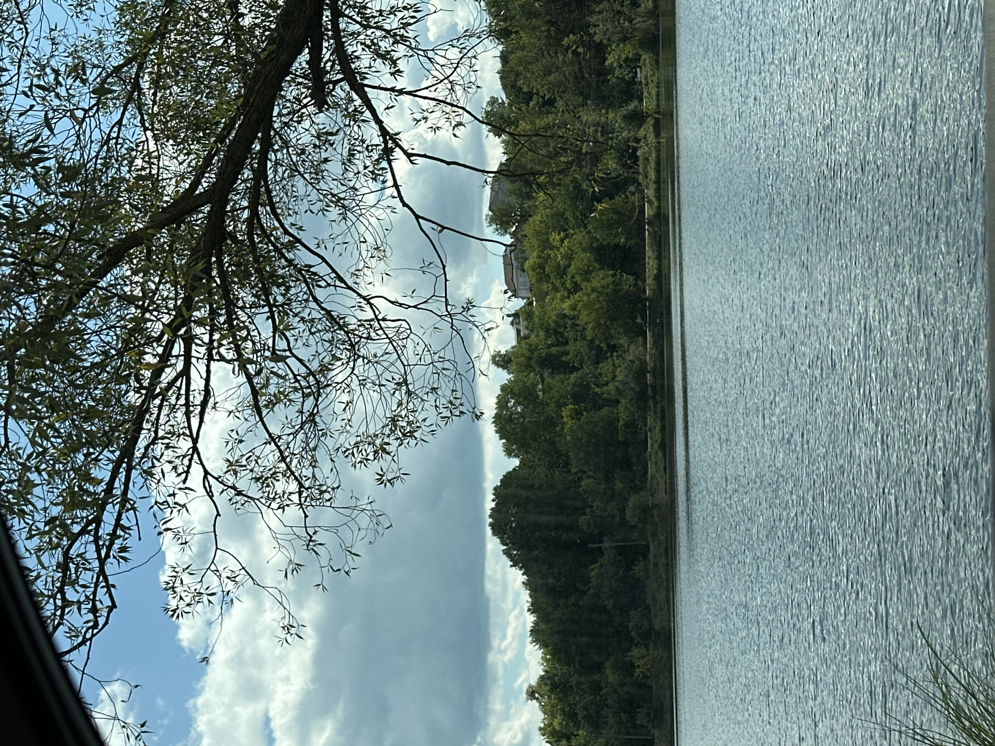 An overhead shot looks down upon a tranquil body of water that reflects the light of a cloudy sky. In the foreground, the upper branches of a deciduous tree extend over the water, obscuring some of the sky with their leaves and dark branches. Beyond the water, a dense forest lines the opposite bank, with lush green trees forming a natural barrier. Behind the forest, several houses are visible, nestled among the trees on a gentle incline. The sky above is a mix of blue and white clouds, suggesting a pleasant, albeit slightly overcast, day. The scene appears to be a natural landscape, likely a park or recreational area, located within the city of Makiv, Ukraine.