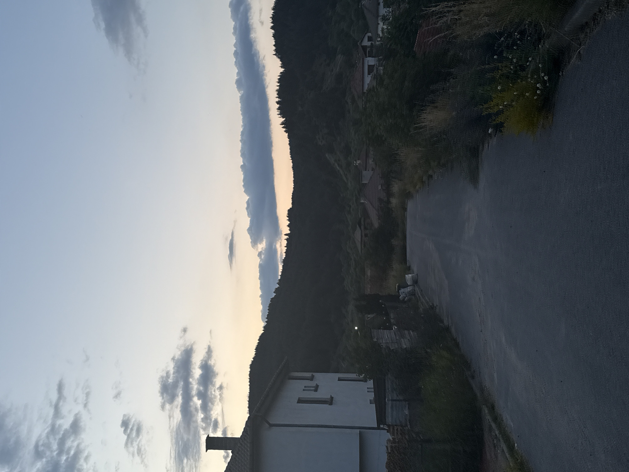 The image depicts a dusky scene in Barutin, Bulgaria, looking down a paved road that curves towards a dark, tree-covered hillside. The sky above is a pale, hazy blue with scattered clouds, some of which are dark and heavy, while others are wispy and light. The sun has likely set, or is about to set, as the light is soft and diffused.
On the left side of the road, a white, two-story house with a prominent brick chimney is partially visible. Its windows are dark, suggesting the interior is unlit. Adjacent to the house, a fence separates it from what appears to be a yard with overgrown vegetation. Further down the road, various houses with red-tiled roofs can be seen nestled among the trees and undergrowth. The vegetation is dense, with tall grasses and bushes lining the sides of the road and climbing the slopes of the hills.
The overall impression is one of quietude and rural tranquility as evening settles. There are no people or animals visible in the scene. The road itself appears to be in good condition, though worn, and the environment suggests a natural, somewhat wild setting.
