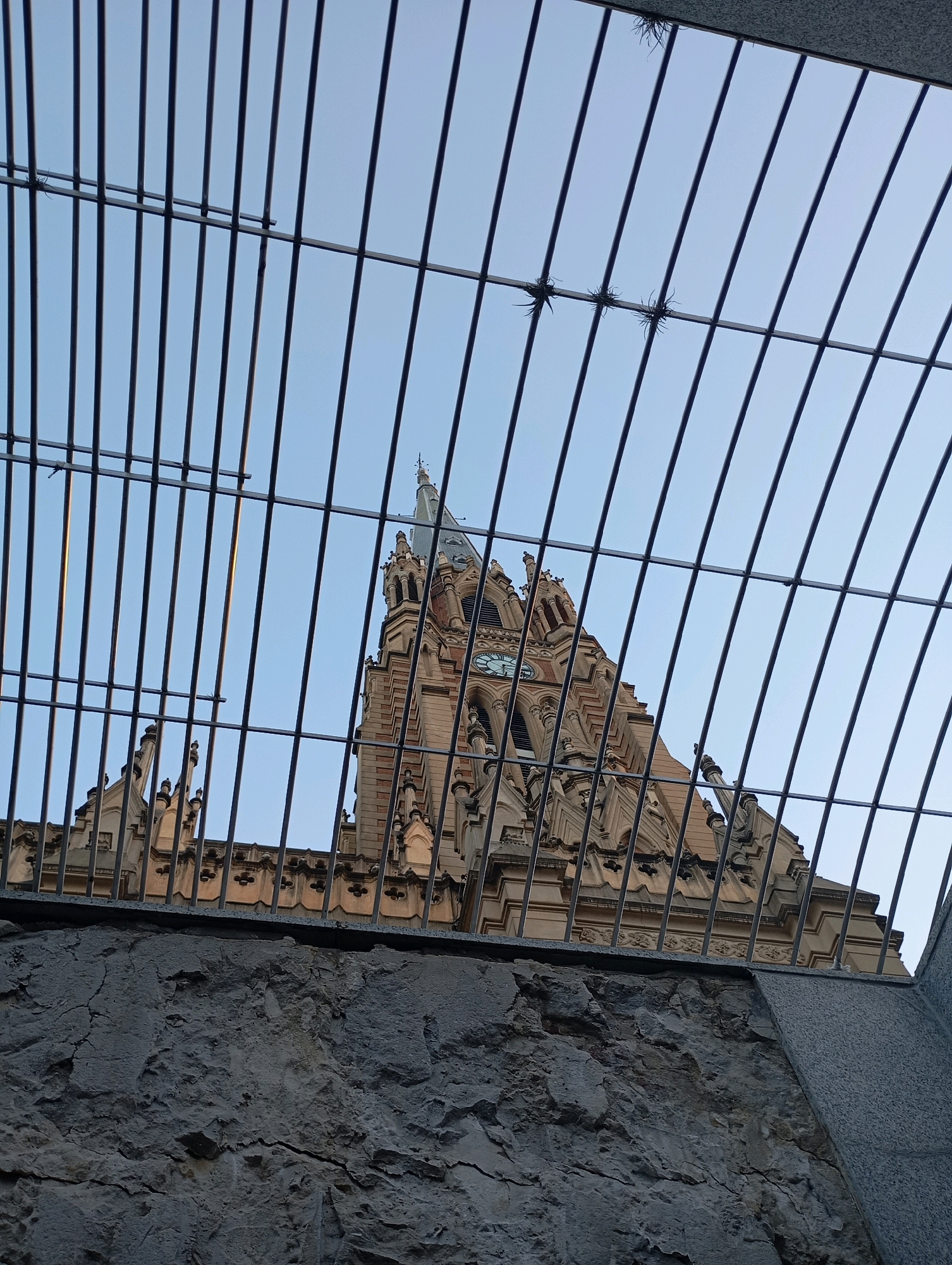 The image shows a stone building with a tall spire and clock tower, possibly a church or cathedral, viewed through a metal grate. The architecture appears to be Gothic or Neogothic, with decorative stonework, pointed arches, and finials. The sky is a clear, pale blue. In the foreground, there is a rough-textured stone wall. Some small plants, possibly air plants, are attached to the grate. The building's facade is made of light-colored stone with darker stone accents and what appears to be a green-faced clock on the tower. The image is shot from a low angle, looking upwards.
This scene is likely located in San Isidro, Argentina, given the architectural style commonly found in historic churches in the area, such as the San Isidro Cathedral.
