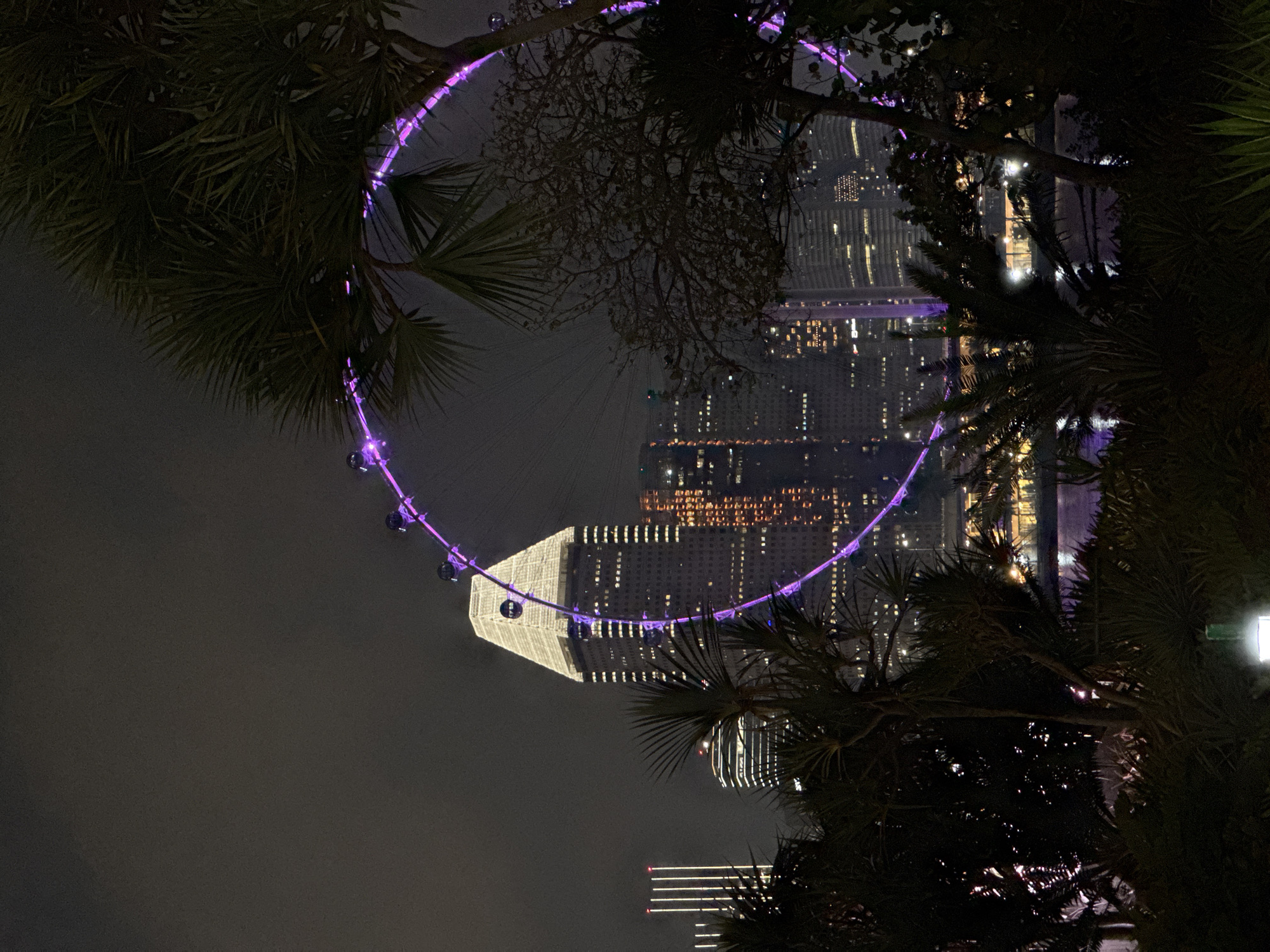 The image shows a nighttime view of the Singapore Flyer, a large Ferris wheel, and the city skyline. The Ferris wheel is illuminated with purple lights, and its structure is partially obscured by palm trees in the foreground. In the background, several skyscrapers are visible, including one with a distinctive pointed roof illuminated with white lights. The city is reflected in the water below. The scene appears to be taken from a park or waterfront area, with lush vegetation in the foreground. The sky is dark and overcast, contributing to the nighttime ambiance.