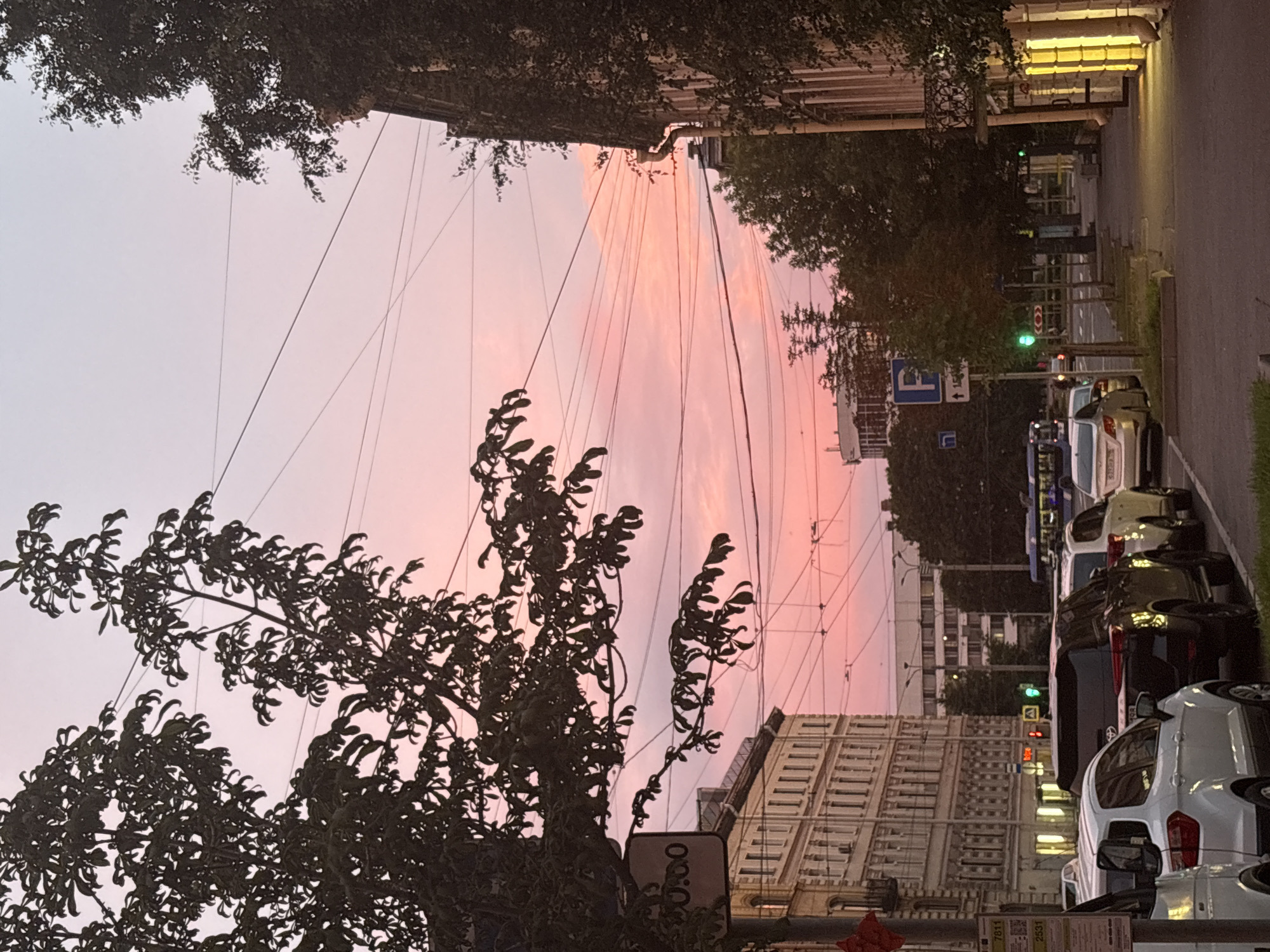 This image captures a street scene in Saint Petersburg, Russia, during a pink sunset. The sky is a gradient of pale blue to vibrant pink, with a scattering of clouds. Overhead, a dense network of electrical wires crisscrosses the sky, silhouetted against the colorful dusk.
On the left side of the frame, a large tree with dark green leaves partially obscures the view of a multi-story building with ornate architecture and numerous windows. A traffic sign displaying "20:00" is visible on a pole in front of the tree. Cars are parked along the street in front of the building.
The right side of the image features another building with ivy growing on its facade, illuminated by warm yellow lights emanating from ground-level windows. A sidewalk runs alongside this building, and streetlights cast a soft glow on the pavement. Further down the street, more trees and buildings are visible, along with a bus and other vehicles. A parking sign is also present on the right. The overall impression is of a tranquil urban evening, with the natural beauty of the sunset contrasting with the man-made elements of the city.