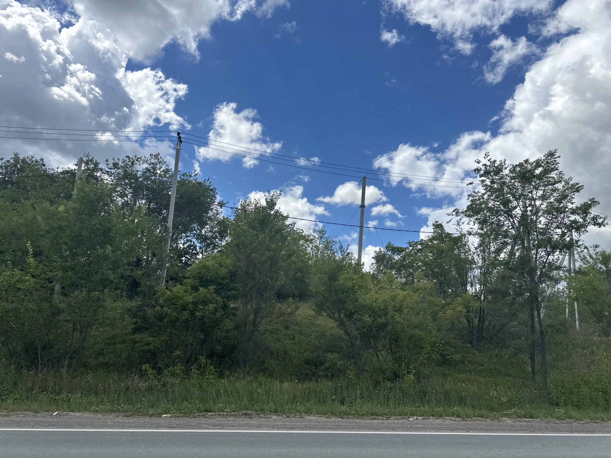 This image depicts a roadside scene with a dense line of green trees and vegetation bordering a paved road. The sky is a vibrant blue, filled with large, fluffy white clouds. Power lines are strung across the sky, supported by utility poles visible among the trees. There are no people or animals present in the scene. The environment appears to be a rural or semi-rural area, possibly on the outskirts of the city of Alekseyevka, Russia. The road surface has a white line marking its edge.