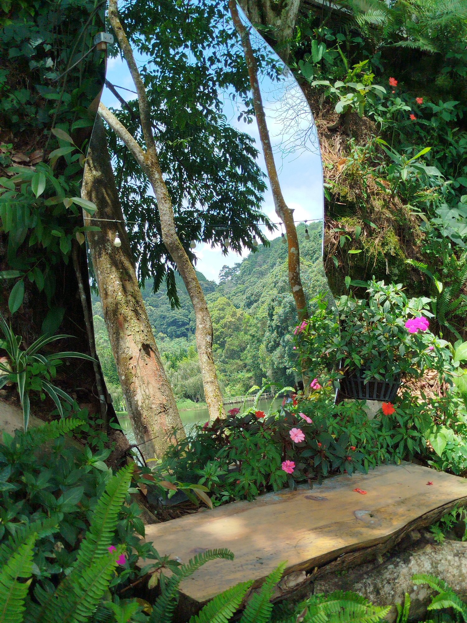 The image depicts a scenic view of Cam Ly waterfall in Da Lat, Vietnam, captured through a large, oval-shaped mirror strategically placed amidst lush greenery. The mirror reflects a broader panorama of the surrounding landscape, including the cascading water of the falls, dense foliage, and a cloudy sky.
In the foreground, a wooden surface, possibly a bench or table, is visible, partially covered by ferns and other plants. The mirror itself is framed by the natural environment, with trees, vines, and flowers of various colors, including vibrant pink and red, adorning the scene. The lighting suggests it's daytime, with sunlight filtering through the leaves, creating dappled shadows.
The reflection in the mirror shows the Cam Ly waterfall in its entirety, with water flowing down rocky outcrops and into a body of water below. The backdrop is a steep, forested hillside, characteristic of Da Lat's mountainous terrain. The scene evokes a sense of tranquility and natural beauty, highlighting the harmonious integration of the mirror with the natural landscape. There are no people visible in the image.