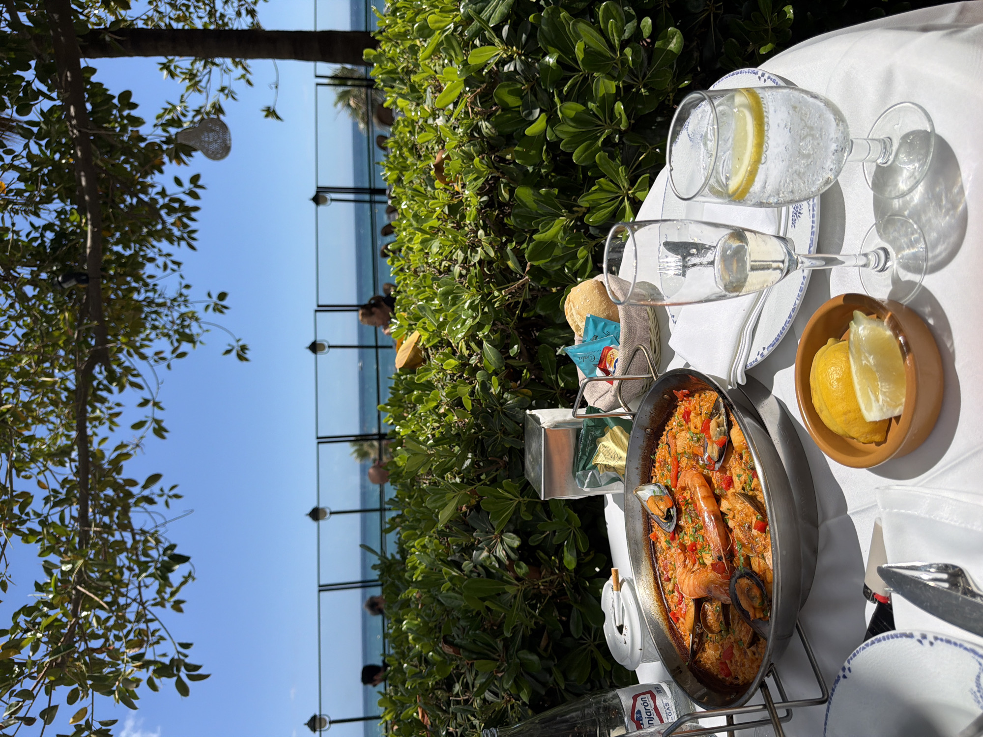 Here's a detailed description of the image:
The image captures a dining scene, likely at a restaurant in Benalmádena, Spain, given the coastal view. The focus is on a table set for a meal, featuring a paella dish filled with seafood. Two glasses, one with a lemon slice, and a small bowl with lemon wedges, suggest a refreshing drink is being enjoyed. Silverware is placed neatly on the table, indicating a formal dining setting.
Beyond the table, a thick line of greenery separates the dining area from the open view of the sea and sky. People are visible in the distance near the water, adding a sense of activity. A tree with leafy branches occupies the left side of the frame, adding a touch of nature. The overall impression is one of a leisurely meal enjoyed in a scenic location.