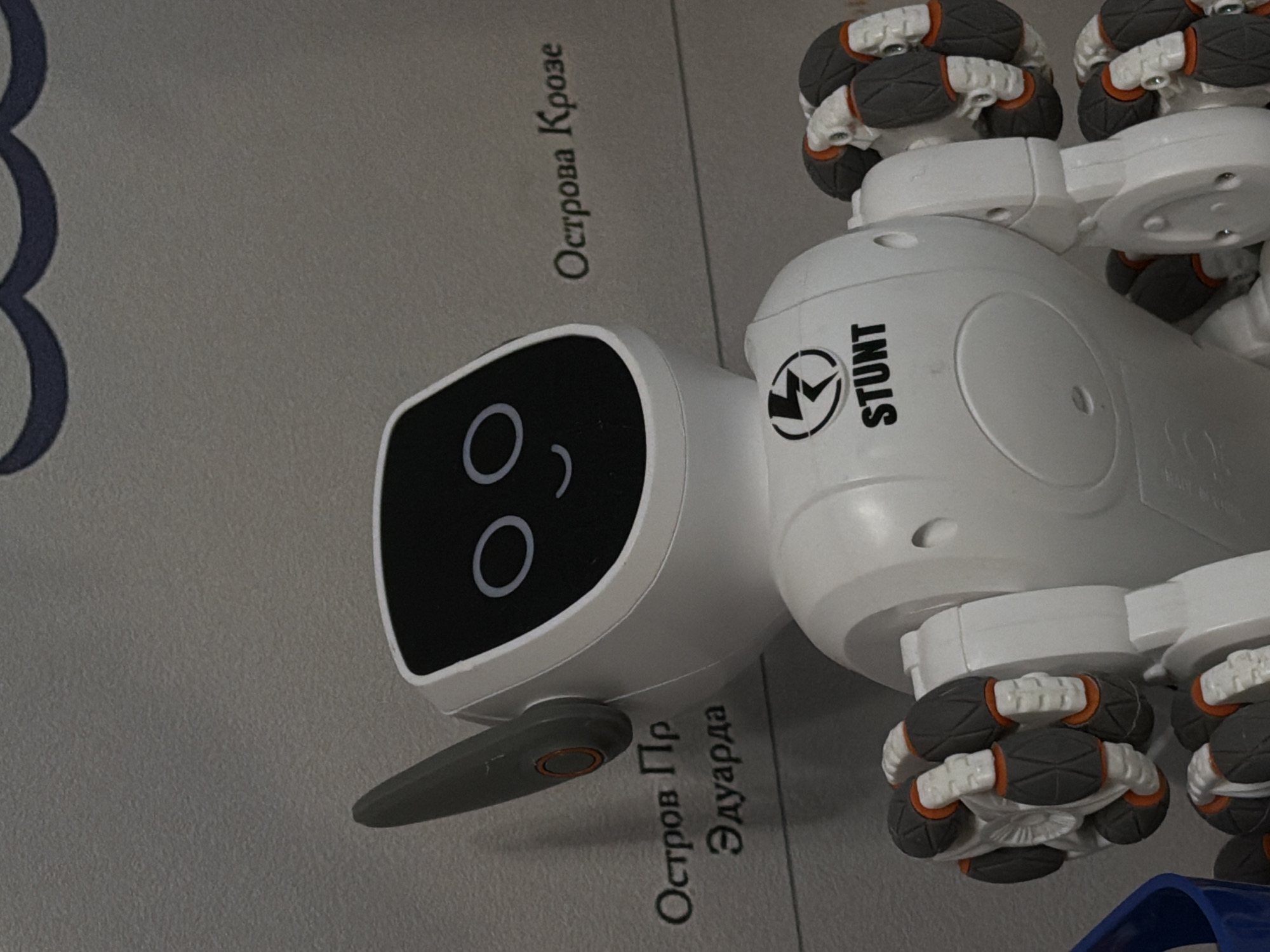 The image displays a white robotic toy with intricate multi-directional wheels, situated on a light gray surface adorned with Cyrillic text. The robot's head features a black screen displaying a face with two circular "eyes" and a gently curved "mouth," conveying a neutral or slightly cheerful expression. Its white body is marked with a black logo consisting of a lightning bolt symbol and the word "STUNT." The wheels are a notable detail, constructed from multiple small, alternating gray and orange rollers, characteristic of omnidirectional movement systems.
The light gray surface, possibly a desk or a map, bears partial Cyrillic inscriptions, including "Острова Крозе" (Crozet Islands) and "Остров Пр Эдуарда" (Prince Edward Island, referring to the island in the Prince Edward Islands group). The toy is stationary, suggesting it's either on display or at rest indoors. The overall scene is brightly lit, and the image itself is oriented at an angle, rotated counter-clockwise. The Cyrillic text is consistent with the location context of Sofiivska Borshchahivka, Ukraine.