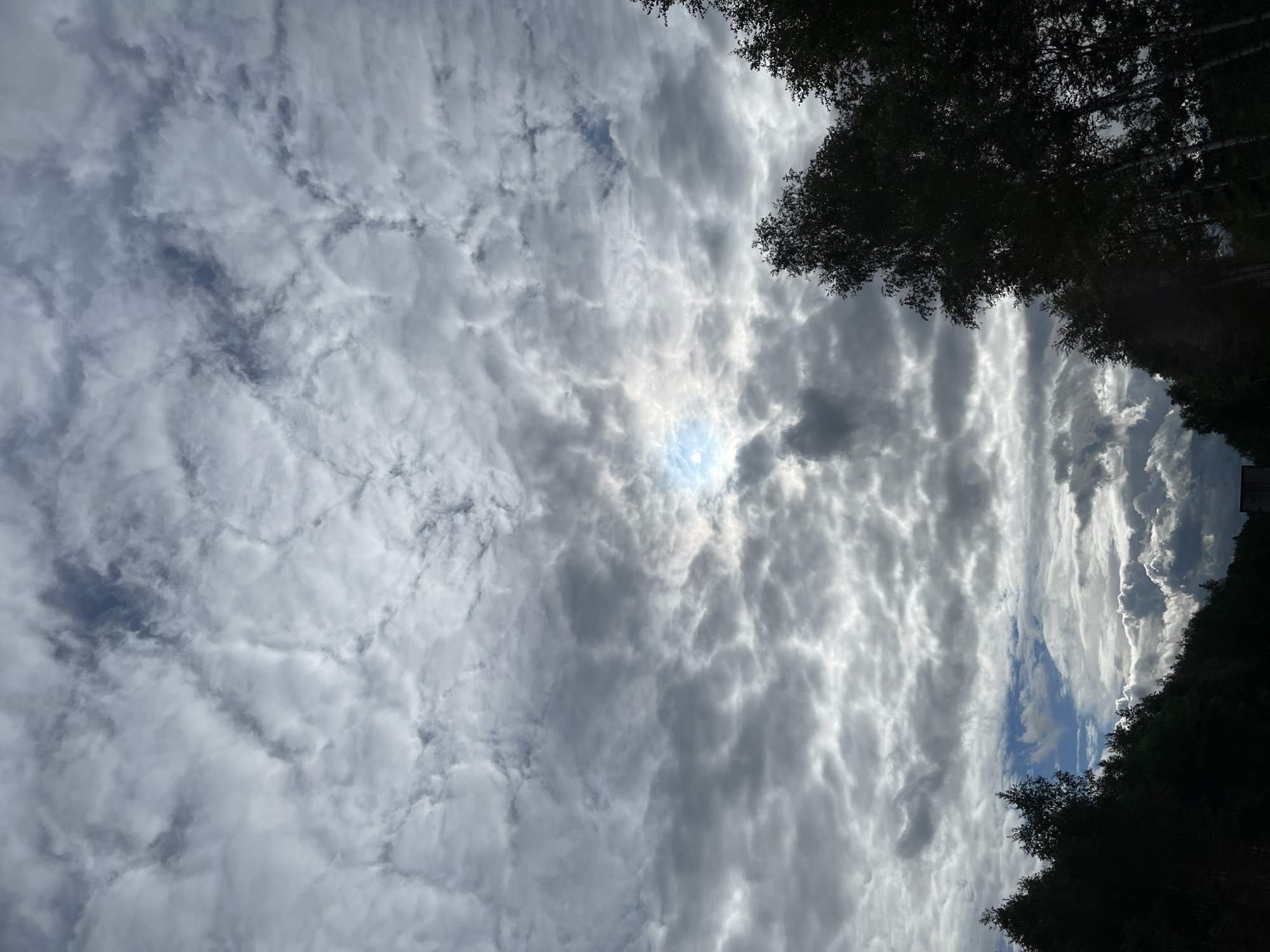 The image shows a sky filled with altocumulus clouds, with a small patch of blue sky visible where the sun is positioned. Some of the cloud formations appear more textured and grey. Dark tree foliage is visible in the upper right and lower right edges of the frame, suggesting a wooded area. The location is Ivanovskoye, Russia.