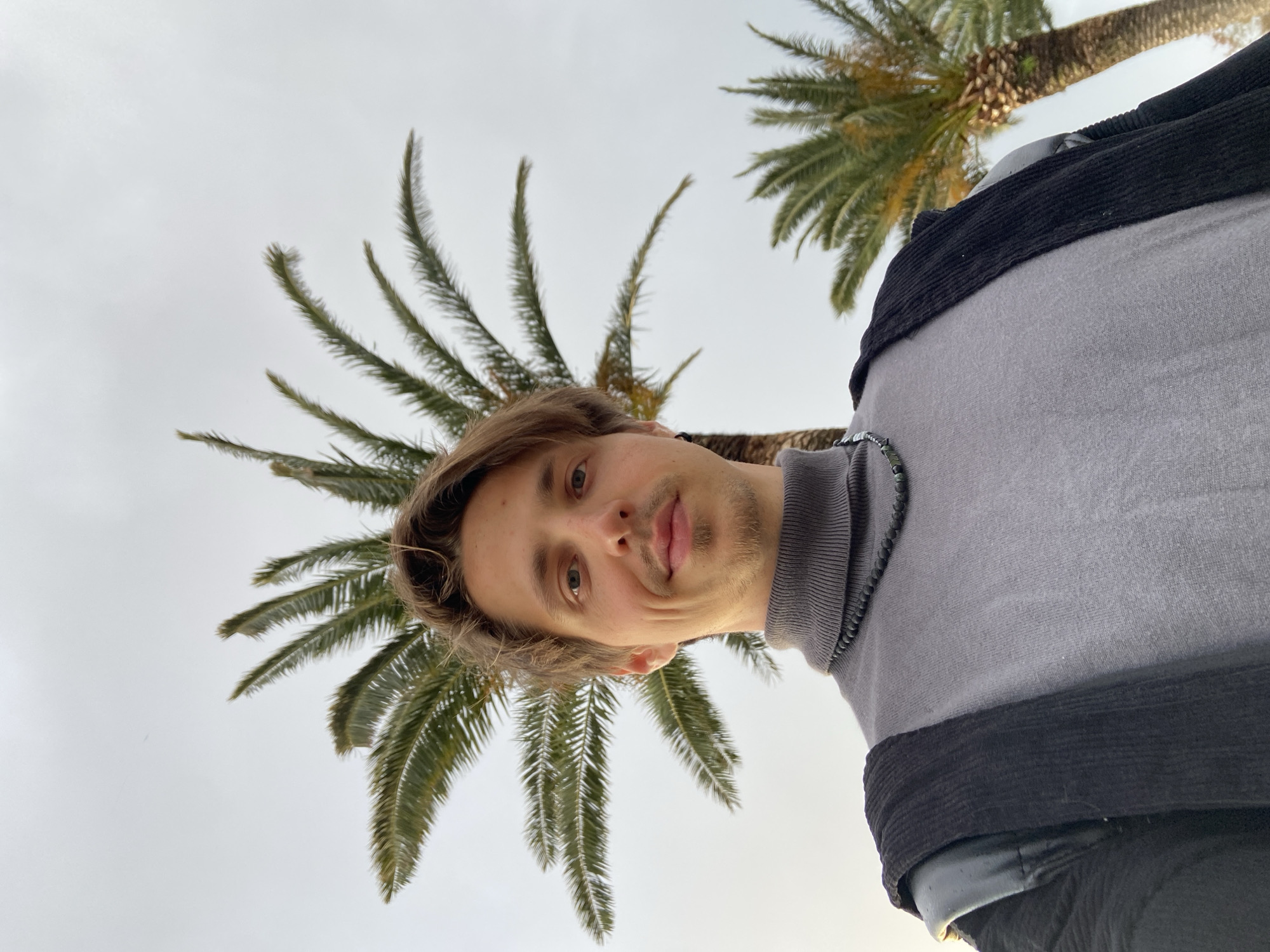 The media file presents a low-angle, rotated portrait of a young man, likely a selfie. The man has light brown hair and light stubble on his face, looking directly at the camera with a subtle smirk. He is wearing a gray long-sleeved top, possibly a turtleneck or mock neck, with black fabric detailing on the shoulders and a black band around the waist. A black beaded necklace is visible on his left side.
The background features an overcast, bright sky, indicating daytime conditions. Two palm trees are prominent in the scene. One palm tree's fronds are fanned out directly behind and around the man's head, appearing to frame him. Another palm tree trunk and some fronds are visible in the upper right portion of the image. The green fronds suggest a healthy, tropical or sub-tropical environment, consistent with the coastal location of Bar, Montenegro. There is no visible text in the image. The overall mood is casual and relaxed, captured outdoors under a cloudy sky.