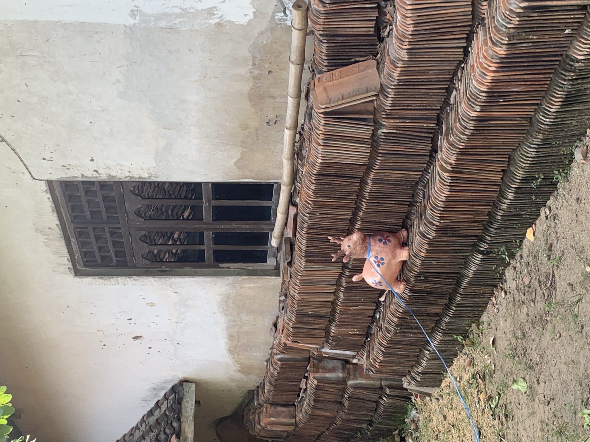 In Tanjungsepreh, Indonesia, a terracotta-colored inflatable deer toy is positioned on a stack of unglazed terracotta roof tiles. The toy is adorned with pink and blue floral patterns. A thin blue string is attached to the toy, extending downwards and to the left. The stacked tiles form a dense, textured wall alongside a weathered building. The building features a dark-framed window with multiple panes and a slightly dilapidated, off-white stucco exterior. A portion of a tiled roof is visible on the left side of the building. The ground in front of the tiles is composed of gravel and dirt, with scattered dry leaves and sparse green vegetation. A thin bamboo pole rests horizontally across the top of some of the tiles.