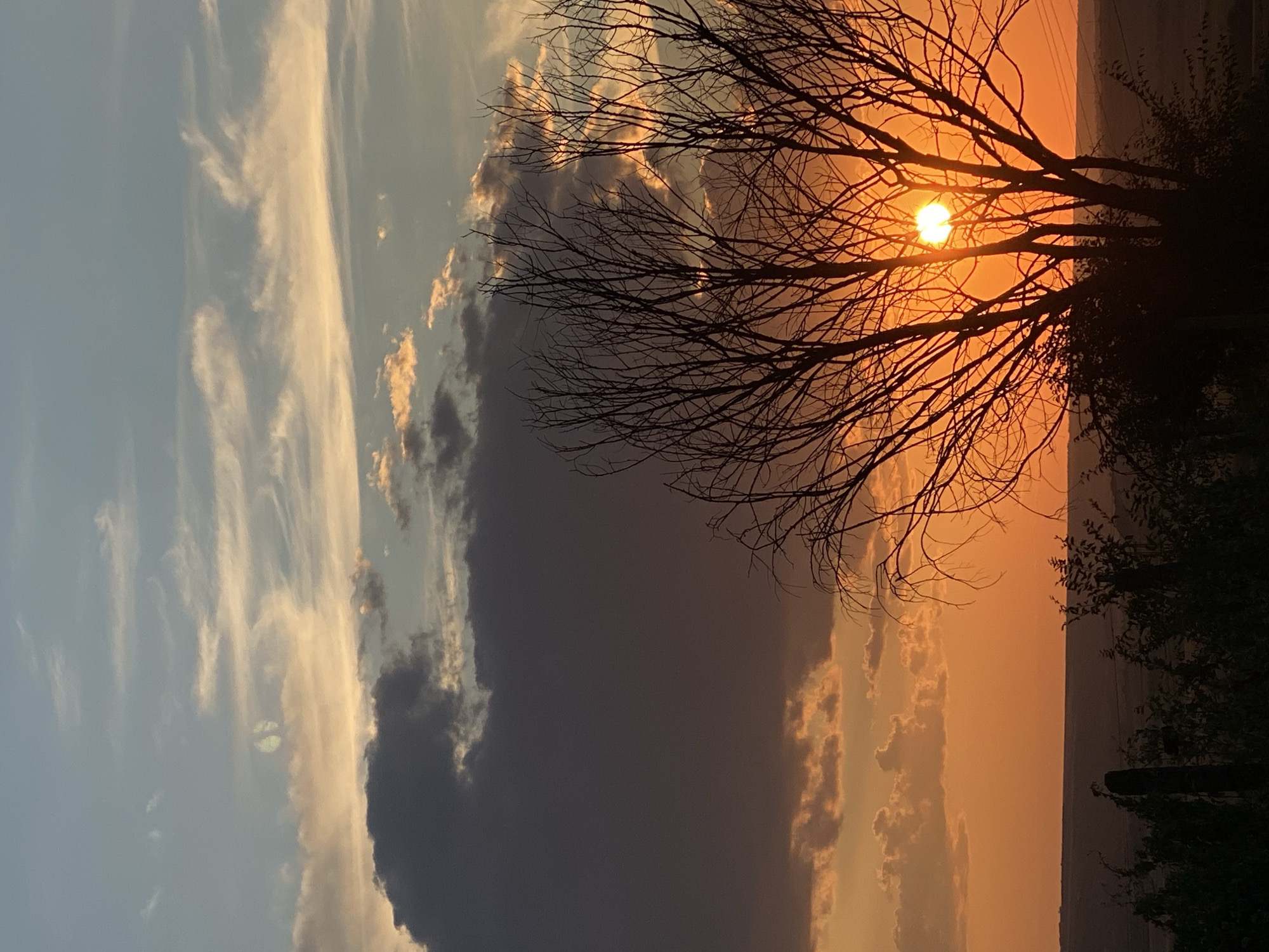 The image captures a sunset over a rural landscape, possibly in Cairaclia, Moldova. The sky is a gradient of warm orange and yellow near the horizon, transitioning to cooler blues and grays higher up. Several clouds are present, some dark and heavy, others wispy and illuminated by the setting sun. A silhouetted tree with bare branches dominates the foreground on the right side of the frame, with the bright orb of the sun visible through its branches. The lower portion of the image shows a dark silhouette of vegetation and a fence post against the glowing sky and a distant, hazy horizon line.