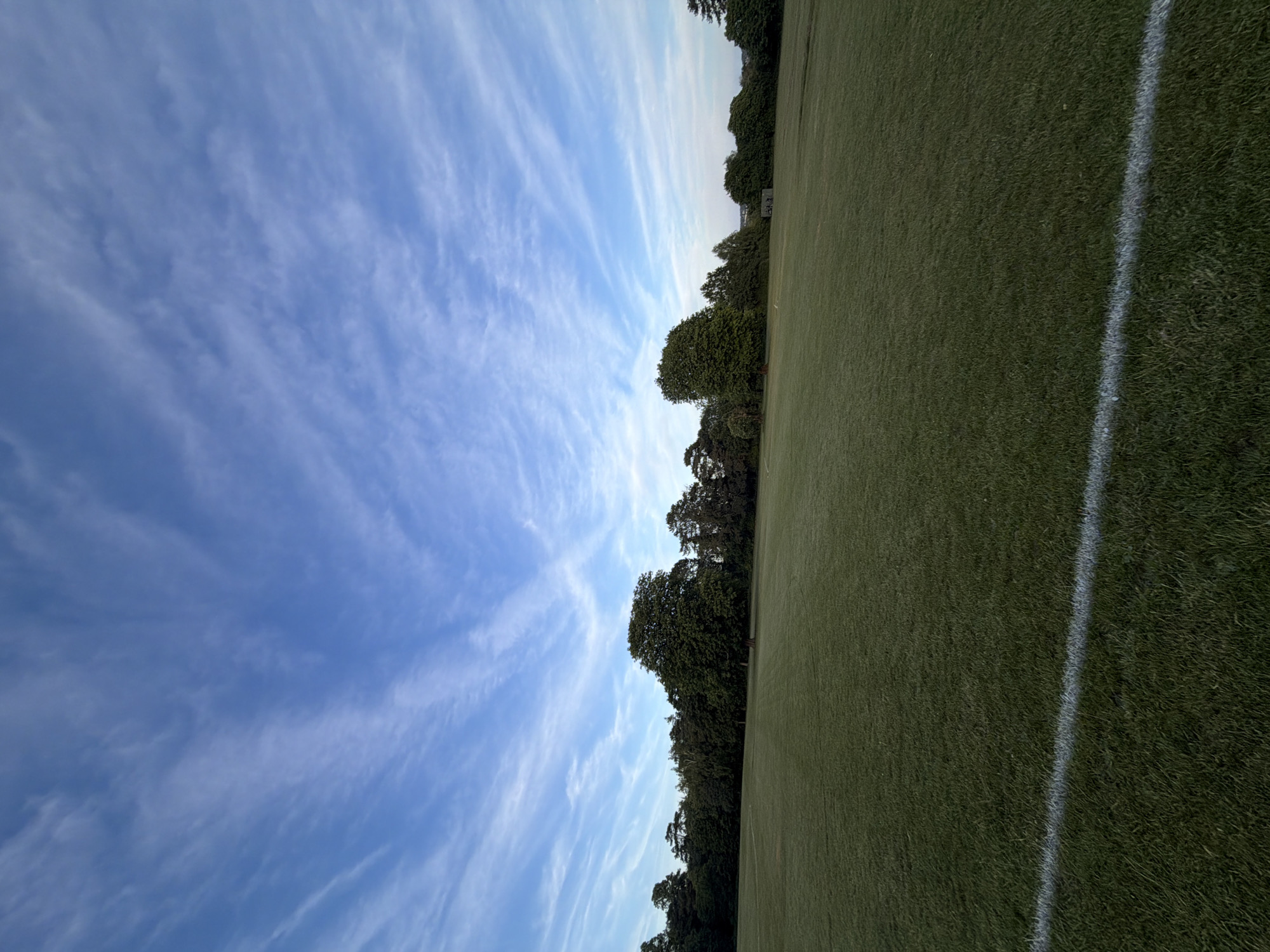 The image depicts an expansive, well-maintained green sports field or parkland under a vast blue sky with scattered white cirrus clouds. The sky occupies the upper half of the vertical composition, showcasing elongated, wispy cloud formations. The lower half features a flat, short-cut green grass surface, appearing slightly muted in tone. A distinct white line, consistent with a sports field boundary marking, traverses the foreground diagonally from the lower-left corner towards the mid-right. In the midground, a dense line of mature deciduous trees forms the horizon, extending across the entire width of the scene. The trees exhibit dark green foliage, with one particularly prominent, large, full tree positioned slightly left of center. No individuals, animals, or active events are present in the frame. A small, dark structure, possibly a utility shed or dugout, is faintly visible behind the tree line on the right side. The scene is illuminated by soft, even daylight, casting no prominent shadows. This pastoral landscape is situated in Maidstone, United Kingdom.