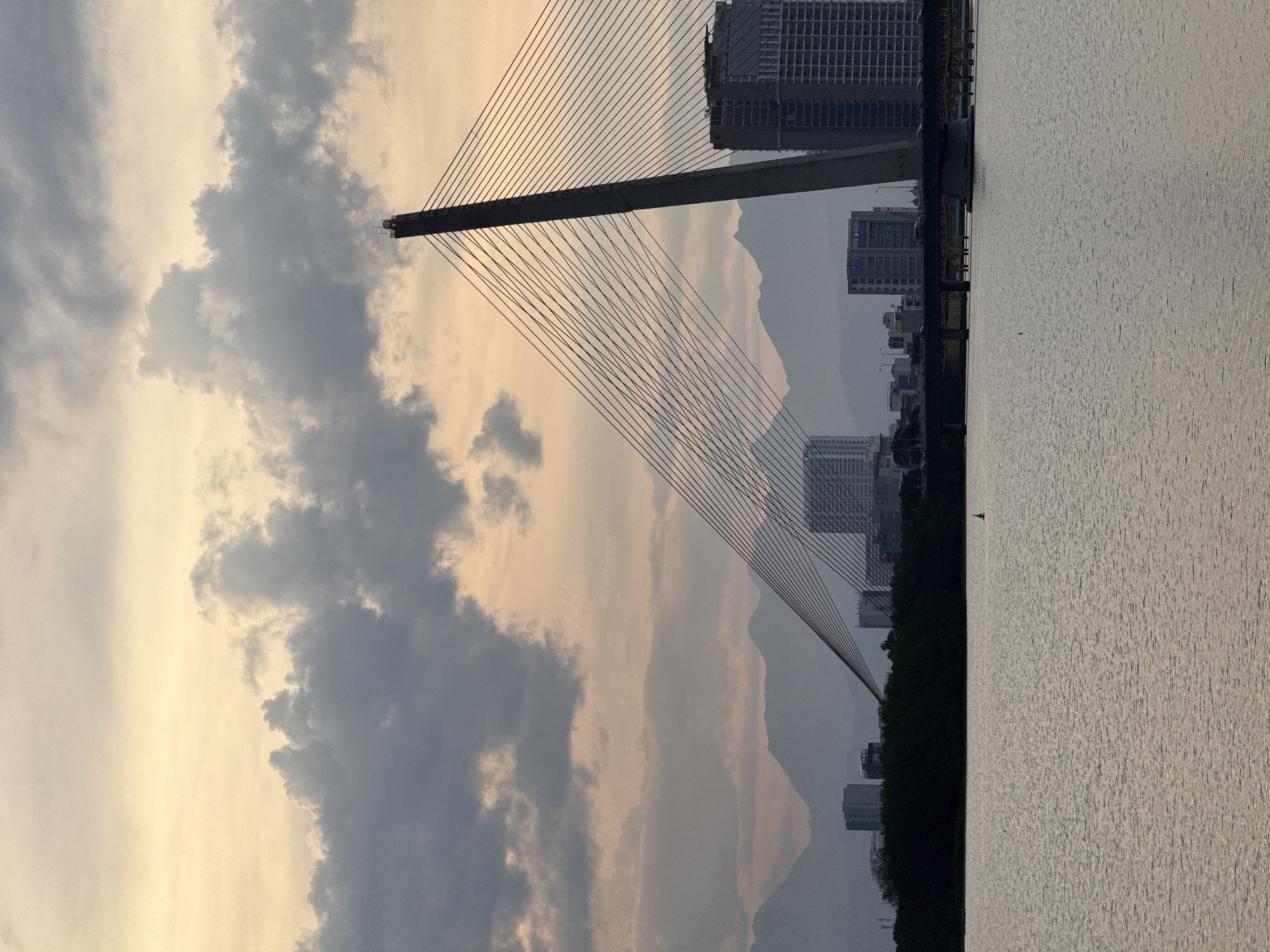The image depicts a cable-stayed bridge over a body of water, likely a river or bay, in Da Nang, Vietnam. The bridge's distinctive silhouette, with its tall support tower and numerous cables fanning out, is a prominent feature. In the background, a hazy cityscape of buildings, some appearing to be under construction, is visible, interspersed with lush green trees along the waterfront. Mountains form a backdrop to the urban landscape.
The sky is filled with a mix of dark, dramatic clouds and areas of soft, warm light, suggesting either dawn or dusk. The overall lighting and atmospheric conditions create a somewhat moody or contemplative ambiance. The water's surface is rippled, reflecting the overcast sky. A solitary bird is visible on the water in the middle ground. The perspective is from ground level, looking across the water towards the bridge and city. The image is captured in portrait orientation. There is no visible text in the image.