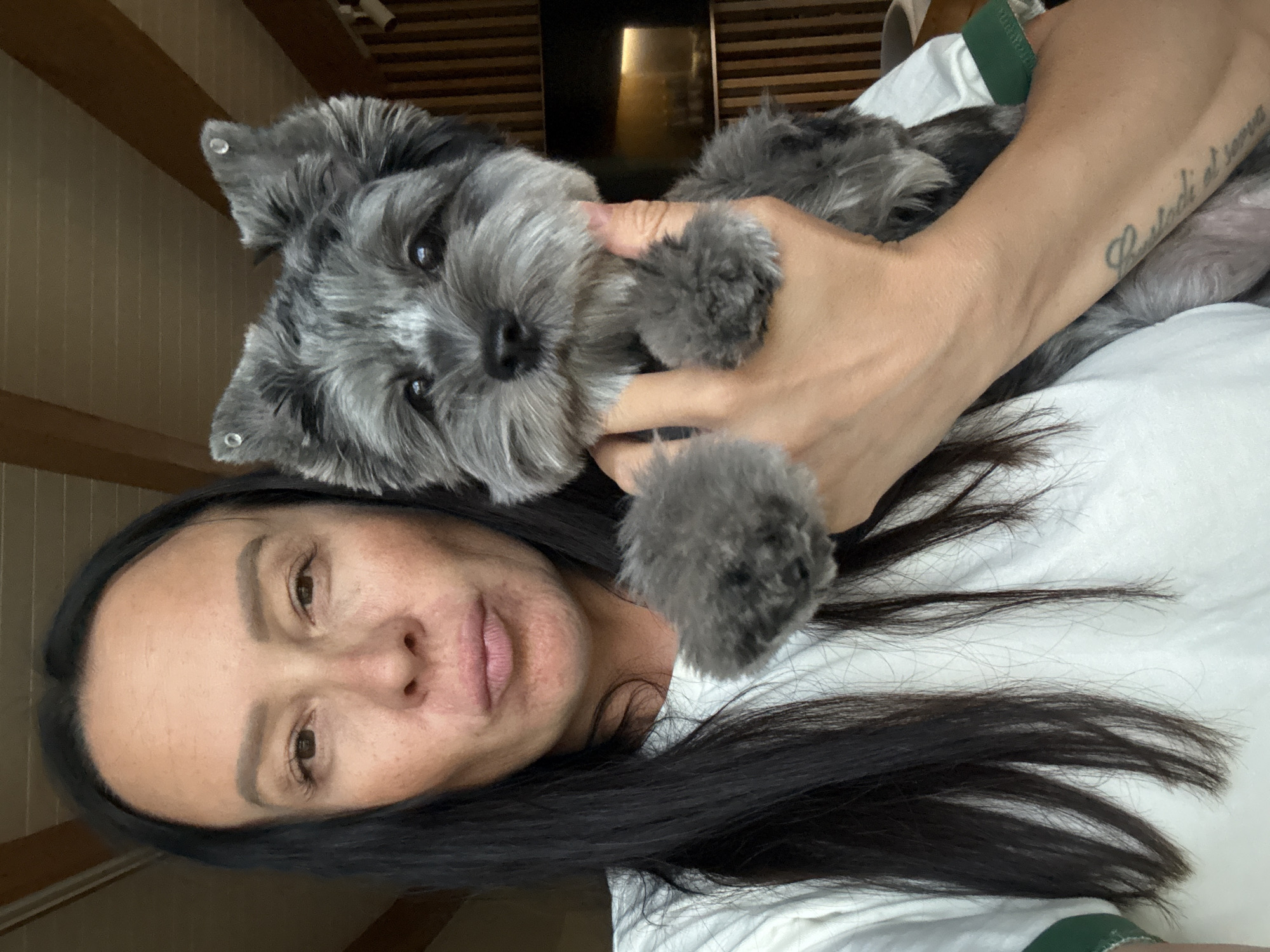 A woman is holding a small, gray, fluffy dog. The woman has long, dark hair and is wearing a white t-shirt with green trim. She is looking at the camera with her lips pursed. The dog is looking at the camera with its ears perked up. The background appears to be indoors, with wooden paneling on the walls and ceiling. There is a dark object in the background that may be a television. The scene is lit with natural light.
