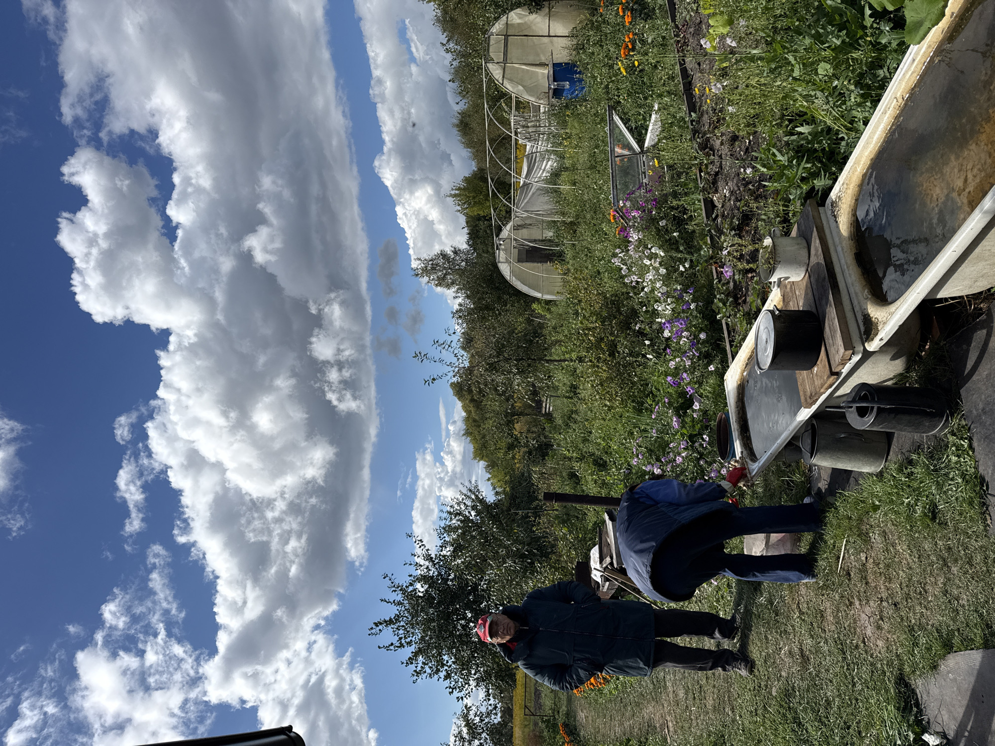 In Fominka, Russia, on a partially cloudy day, two individuals are engaged in activities within a garden. An elderly man, wearing a dark green jacket and a red baseball cap, stands in the foreground on a gravel path, his hands in his jacket pockets. To his right, another person, wearing a dark blue jacket and blue pants, is bent over, appearing to interact with a bathtub filled with water. This bathtub, along with another, is positioned on wooden planks, serving as a water trough. Scattered around the area are various gardening tools and containers, including metal buckets and a black cylindrical object. The garden itself is lush with greenery and blooming flowers of various colors, including purple, white, and orange. In the background, two transparent greenhouses are visible amidst the dense vegetation and trees. The sky above is a mix of blue and white, with large, billowy clouds contributing to the overall ambiance of an outdoor, rural setting.