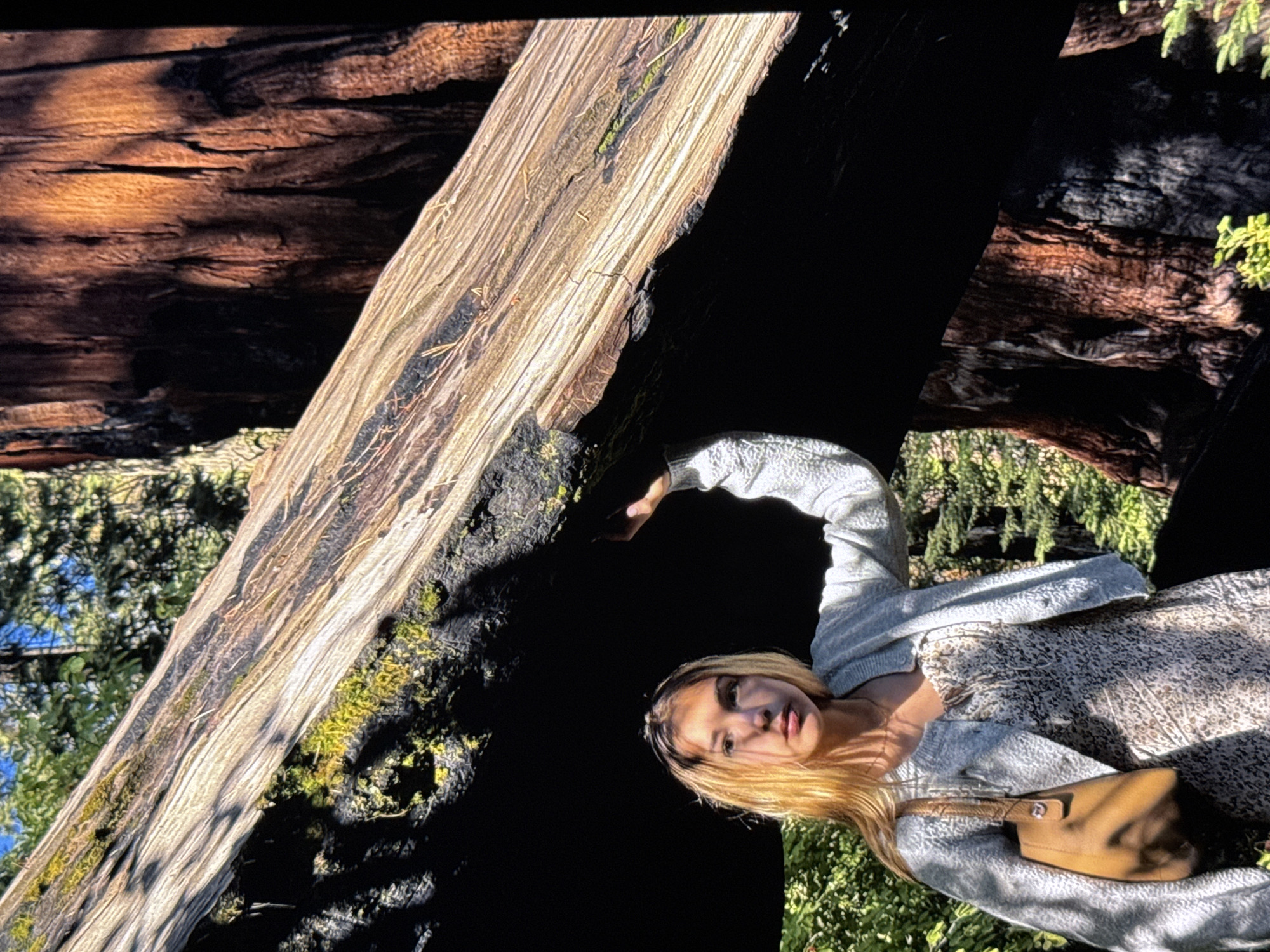 A young woman with blonde hair stands under a fallen, massive redwood tree trunk. She is wearing a light blue cardigan over a floral print dress and carrying a brown purse. Her right hand is raised, touching the underside of the tree trunk. The redwood tree's bark is rough and reddish-brown, with deep vertical grooves. Moss is visible on the fallen trunk. Sunlight filters through the surrounding green foliage and trees. The scene appears to be in a natural park setting, likely a forest. There is no indication of it being in the city of Los Angeles.