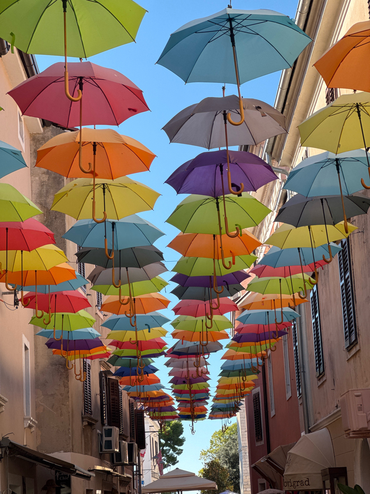 This image captures a vibrant street scene in the city of Novigrad, Croatia. A multitude of colorful umbrellas are suspended overhead, creating a lively canopy. The umbrellas are arranged in a staggered pattern, with different colors including green, pink, orange, yellow, blue, purple, and red. They are hung by their handles, with the fabric stretched out, forming a dense and visually appealing display.
The umbrellas are suspended between buildings that line a narrow street. These buildings appear to be of traditional European architecture, with stone or stucco facades, shuttered windows, and balconies. The buildings on the left are lighter in color, while those on the right are a warmer, pinkish hue. In the background, glimpses of a clear blue sky are visible through the gaps between the umbrellas.
The street level is only partially visible at the bottom of the image. There are awnings of shops and a hint of what appears to be outdoor seating areas. The overall impression is one of a festive and welcoming atmosphere, likely a popular spot for tourists or locals to gather. The scene is well-lit by natural sunlight, casting subtle shadows from the umbrellas onto the buildings. There are no people clearly visible in the frame.