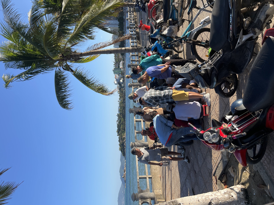This image captures a vibrant coastal scene in Nha Trang, Vietnam, on a clear, sunny day. Approximately 14 adult males are gathered on a light-colored paved walkway adjacent to a concrete seawall that overlooks the ocean. Most individuals are standing and looking downward, indicating focus on something at ground level; one man is kneeling on a small red stool, while another in a light blue shirt and jeans is bending over. The men are dressed in casual attire, including t-shirts, polo shirts, plaid shirts, shorts, and caps.
To the right and in the foreground, multiple motorcycles and at least one bicycle are parked. Notable vehicles include a red Yamaha scooter and a black Honda Air Blade scooter. Two large palm trees, with prominent green fronds, are visible within the frame, one partially on the left and another dominating the right midground.
The background features a calm, blue-green sea under a clear blue sky. Across the water, a distant coastline is visible, characterized by rocky formations and numerous multi-story buildings, typical of urban coastal development.
