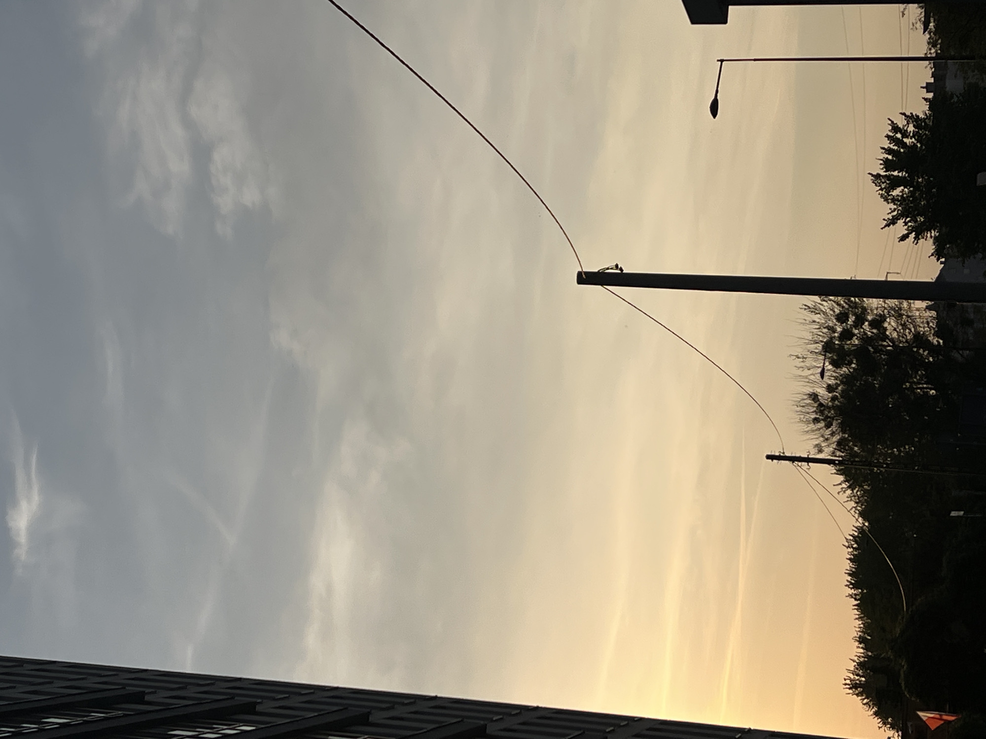 The image depicts a silhouetted view of a city skyline at dusk. On the far left, a dark, tall building with numerous rectangular windows dominates the frame. In the mid-ground, silhouetted trees line the horizon, with several utility poles and wires crisscrossing the sky. A street lamp with a curved arm is visible on the right side, further emphasizing the urban setting. The sky is a gradient of pale orange and gray, with wispy clouds and a faint contrail. The scene suggests an evening in an urban environment, potentially in Warsaw, Poland, given the architectural style and the presence of utility infrastructure typical of European cities.