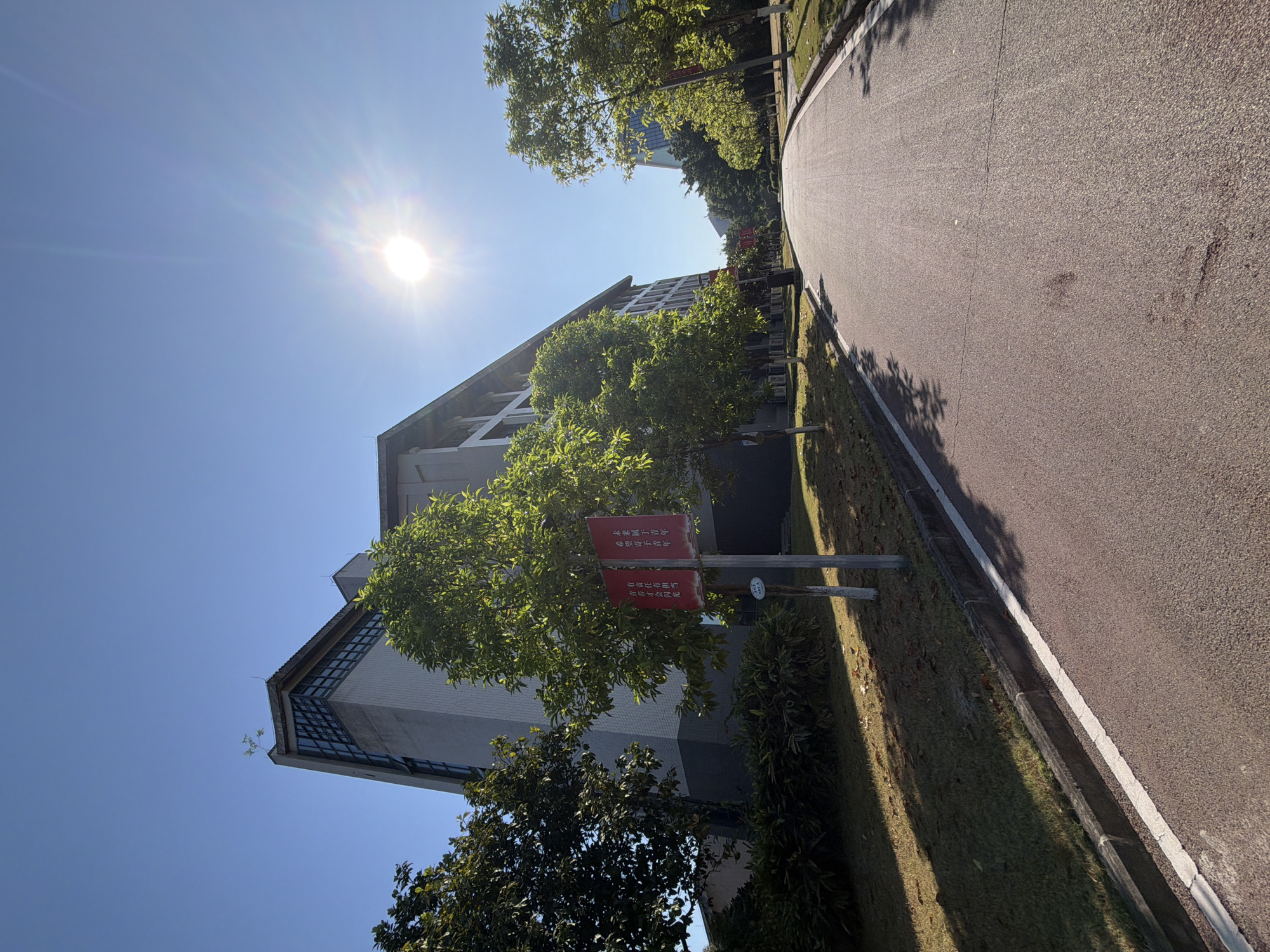 The image depicts a road leading towards a modern building with a distinct angular roofline and large windows. Several trees with lush green foliage line the left side of the road, casting shadows on the asphalt. Two red banners are suspended from poles on the left side of the road, displaying Chinese characters. The sun is prominently visible in the upper right portion of the sky, creating a lens flare effect and illuminating the scene. The environment appears to be an urban setting with manicured lawns and a clear blue sky. The specific location is identified as Jiangjin, China.
