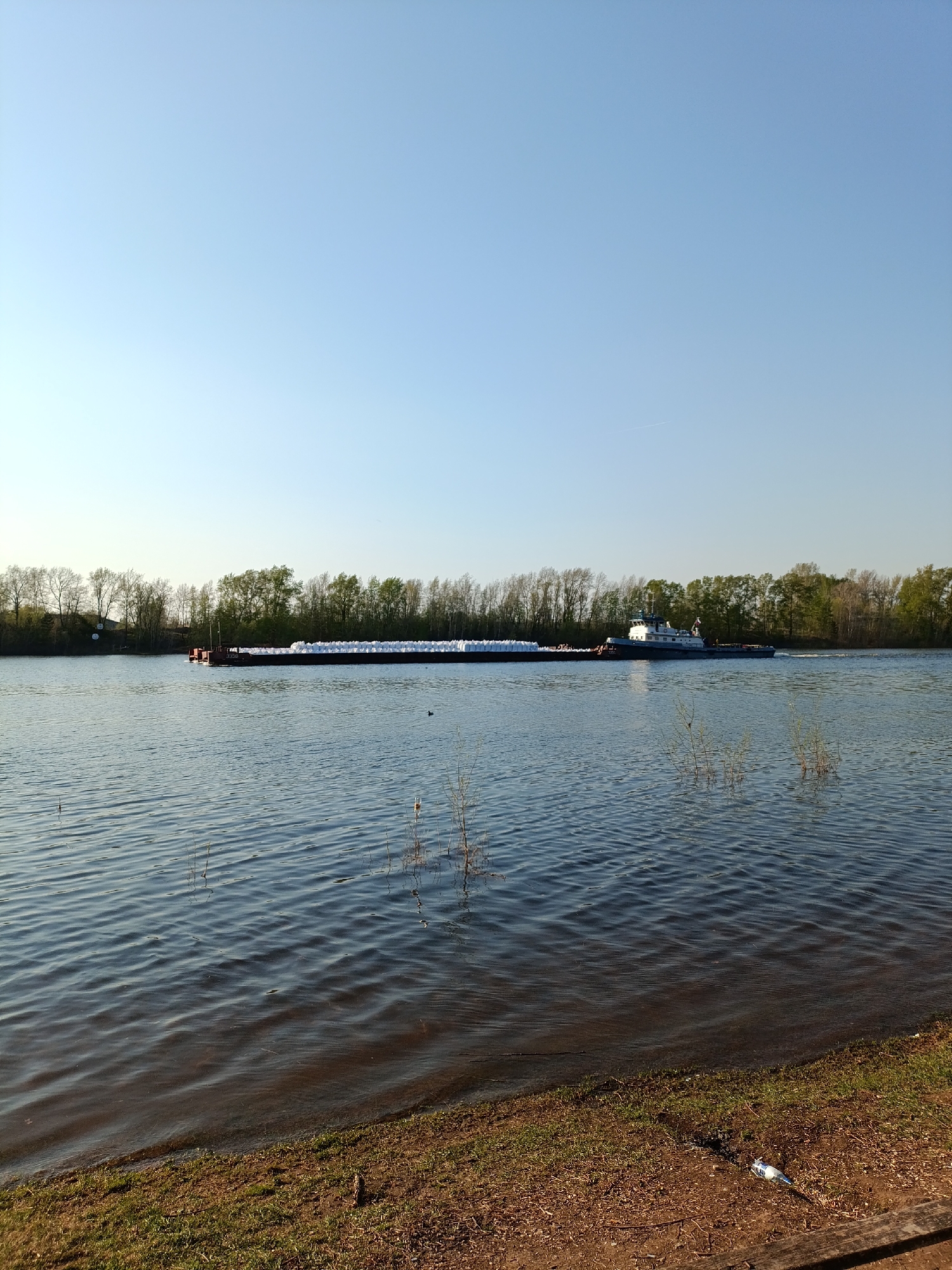 The image shows a tugboat pushing a barge filled with what appears to be large white sacks or bales on the Kama River in Chaikovsky, Russia. The river is wide, with slight ripples on the surface, reflecting the sky. The riverbank is lined with trees. In the foreground, the shoreline is visible, with grass and some bare earth. A discarded plastic bottle is lying on the ground near the water's edge. The sky is clear and blue.