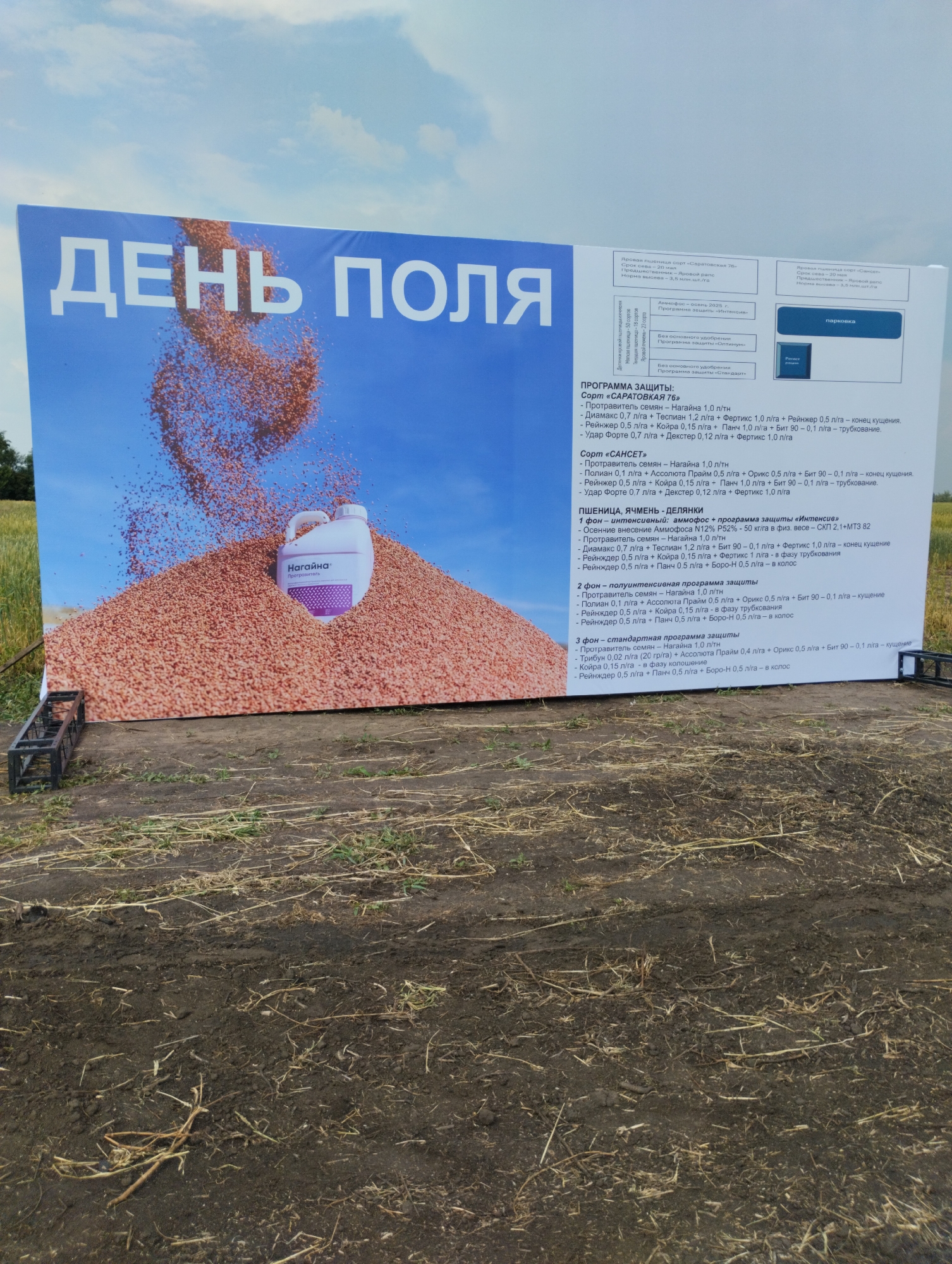 In the city of Zarechny Aul District, Kazakhstan, a large billboard stands in a field of dry grass and dirt. The billboard features a blue sky background with a large pile of grain in the center, from which a white plastic jug with the label "Нагайна" is emerging. The jug is white with a purple label and appears to be a product for agricultural use. The word "ДЕНЬ ПОЛЯ" (Field Day) is prominently displayed in large white letters across the top of the billboard. The billboard is supported by a black metal structure on the left side. In the background, a field of wheat is visible under a cloudy sky. The ground in front of the billboard is rough and uneven, with dried grass and soil.