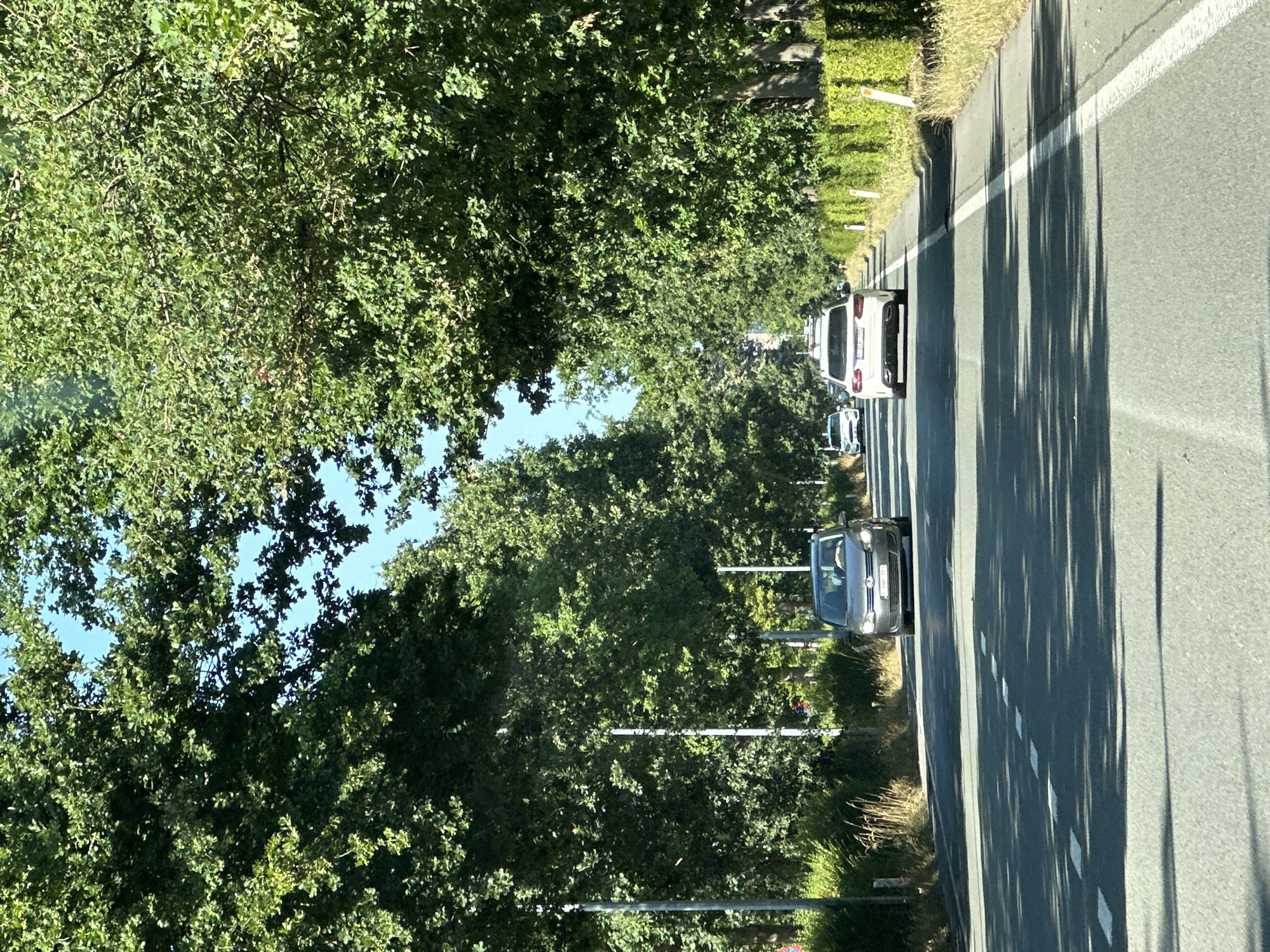 The image depicts a road lined with mature trees, forming a canopy over the asphalt. Several cars are visible on the road, traveling in the same direction. The scene appears to be a well-maintained road within a green, possibly suburban or park-like area, given the abundance of foliage. The lighting suggests a sunny day, with shadows cast by the trees on the road. The specific location in Bruges, Belgium, is not discernible from the visual information present in the image.