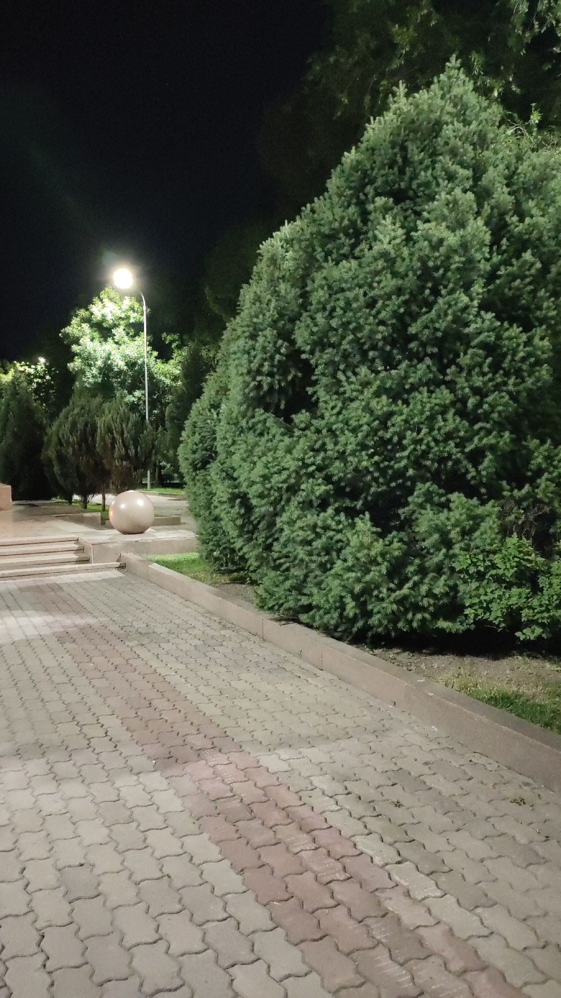 The image depicts an outdoor scene at night, illuminated by artificial lighting. In the foreground, a pathway paved with interlocking concrete pavers is visible. The pavers are a light gray color, with a section of reddish-brown pavers running diagonally across the pathway.
To the right of the pathway, a large, dense evergreen tree with dark green foliage dominates the midground. Its branches are full and rounded. Beyond this tree, several other evergreen trees of varying sizes and shapes are present, some appearing more conical.
In the background, a streetlamp with a bright, white light shines on some leafy trees, creating a luminous effect against the dark night sky. To the left of the streetlamp, a set of concrete stairs leads up to a slightly elevated area. A large, light-colored spherical object, possibly a decorative sculpture or planter, is positioned on this elevated level, near the base of the stairs. The overall setting appears to be a park, plaza, or landscaped area within a city. There are no people or animals visible in the image.