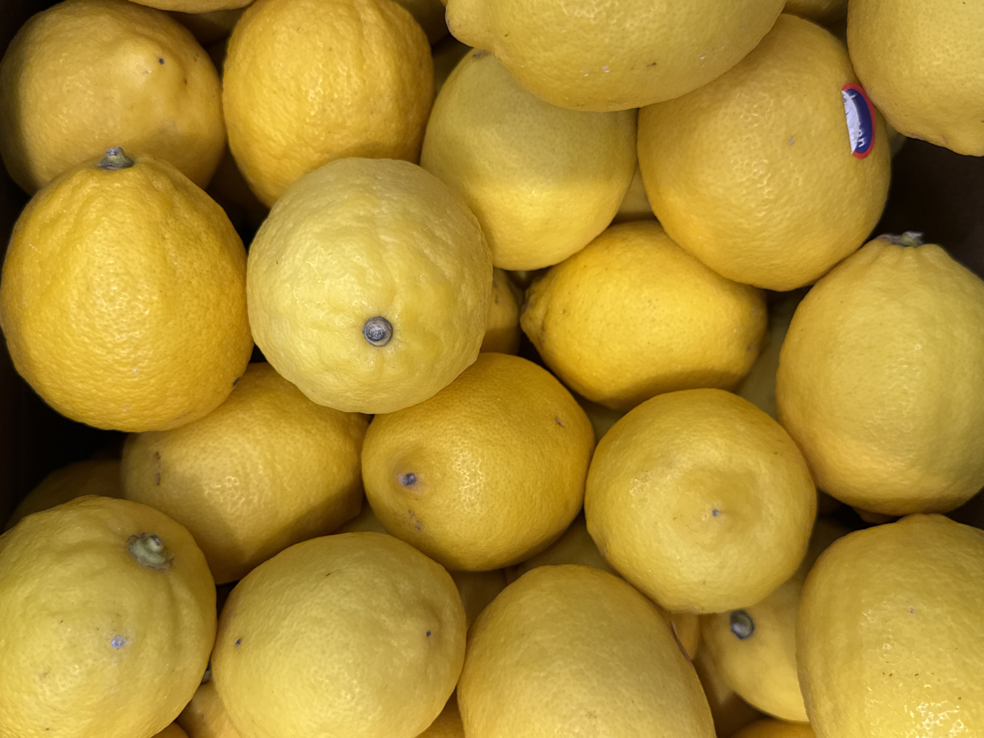 The image is a close-up, overhead shot of a large pile of bright yellow lemons. The lemons are varied in size and shape, with some showing the characteristic bumpy texture of citrus fruit. A few lemons have small brown or blue spots on their skin, and some have visible stem ends. One lemon in the upper right has a small circular sticker with blue, white, and red segments, which appears to be a produce label. The lighting is bright, suggesting it might be daytime, and there are no discernible shadows indicating a specific time of day. The scene is likely a market stall or grocery store display, given the abundance and presentation of the fruit. There are no people visible in the frame. The image is a still photograph with no discernible activity taking place. The setting is not explicitly identifiable beyond being a place where lemons are stored or sold.