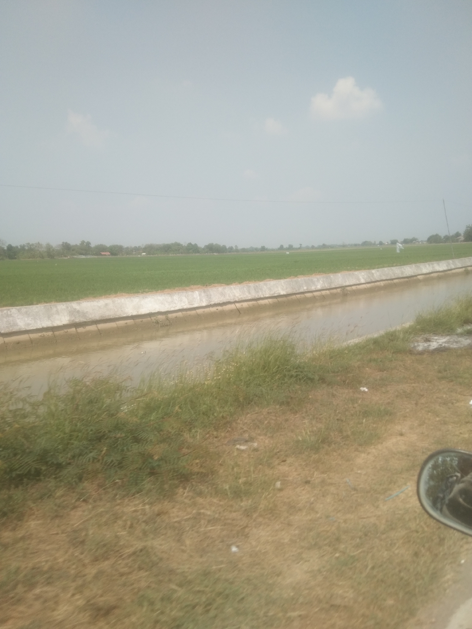 The image depicts a rural scene in Desa Cilandak Lor, Indonesia, characterized by a concrete canal running horizontally through the frame. The canal contains murky, brown water, and its banks are lined with vegetation and concrete. Beyond the canal, a vast, green field of crops stretches towards the horizon, suggesting agricultural land. A few scattered trees and distant structures are visible in the background, hinting at a small settlement. The sky above is a pale, hazy blue with a few wispy clouds. In the foreground, dry grass and some greenery are visible, with a partial reflection of what appears to be a person's face in a motorcycle's side mirror on the right side of the image. The overall impression is one of a tranquil, rural landscape.