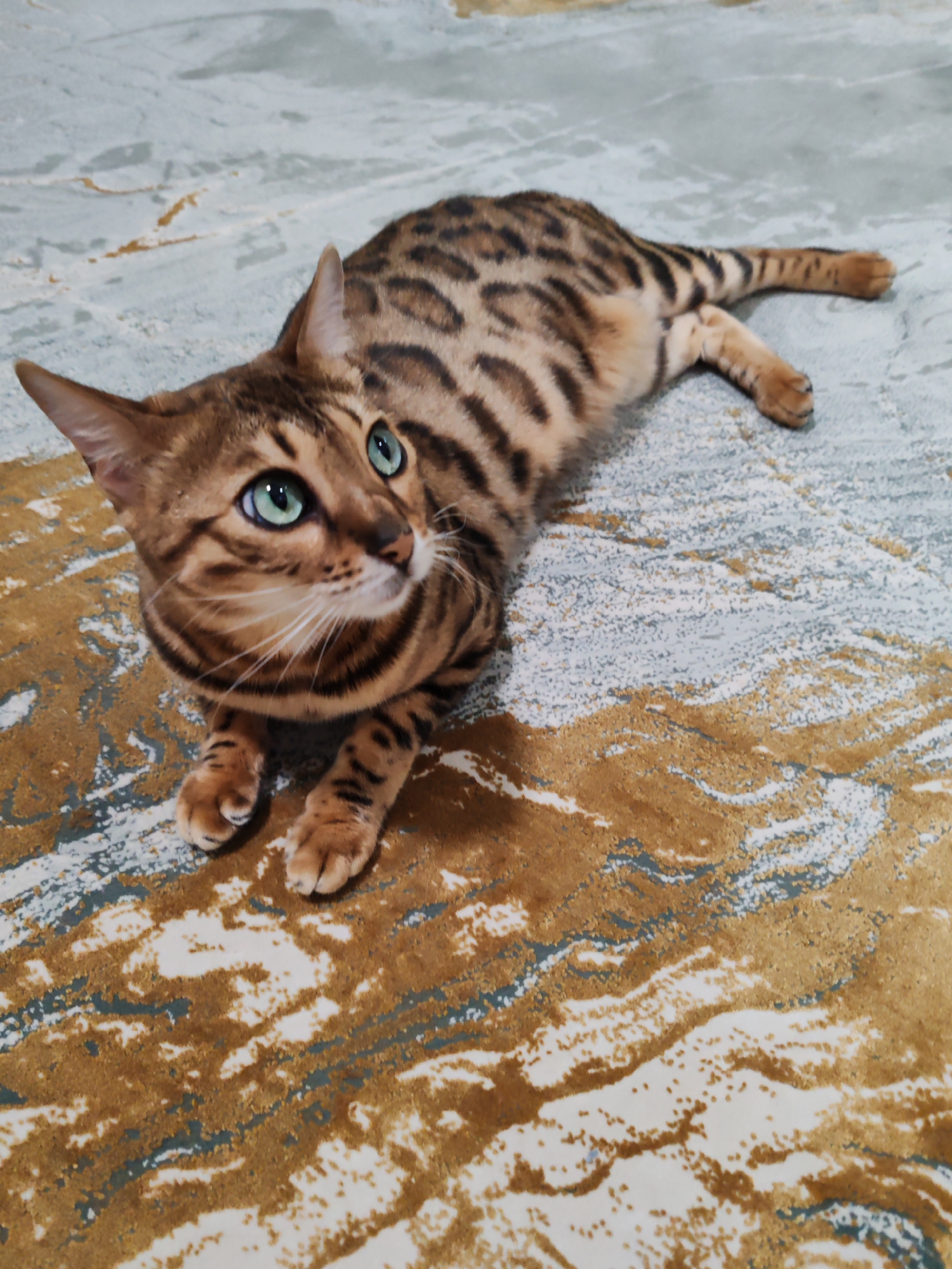 A Bengal cat with distinctive spotted fur and bright green eyes is lying on a rug. The rug has a marbled pattern of brown, gold, and grey. The cat is facing left, with its front paws tucked underneath its body and its hind legs stretched out. Its tail is also extended. The lighting suggests an indoor setting. There is no information in the image to indicate the city of Dubai, United Arab Emirates.