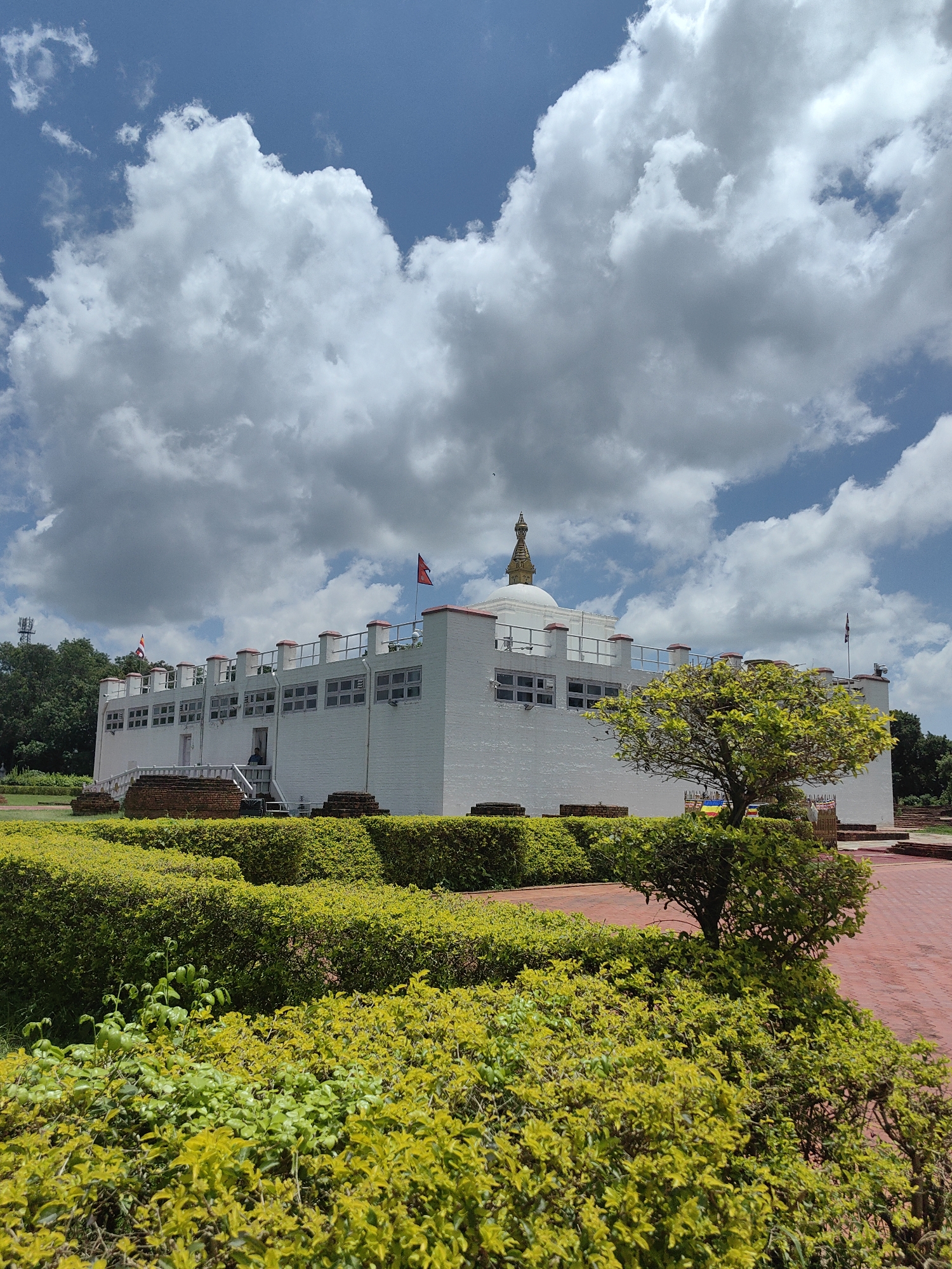 The image depicts the exterior of the Maya Devi Temple in Lumbini Bazaar, Nepal, under a bright blue sky with scattered white clouds. The temple is a white, rectangular structure with a flat roof surrounded by a white railing with red accents. The building features numerous windows and two prominent flags atop its facade. A stupa with a golden spire is visible in the background. The foreground is dominated by lush green hedges and bushes, with a red brick pathway winding through the landscape. A small tree with vibrant green foliage stands to the right of the temple. The scene appears serene and well-maintained, suggesting a religious or historical site. There is one person visible near the entrance of the temple.