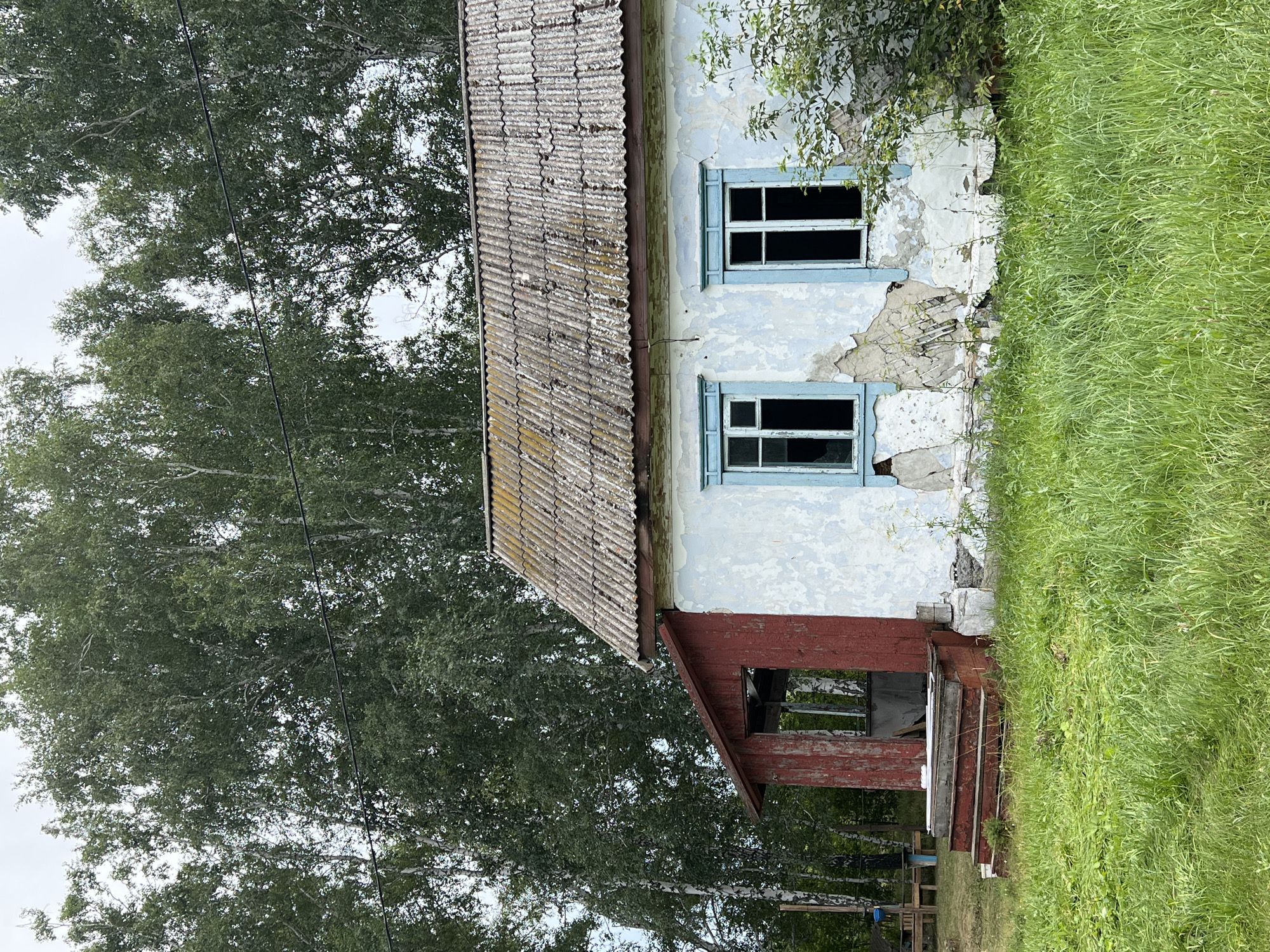 An exterior, medium shot captures a weathered, abandoned house situated in the city of Курорт Озеро, Russia. The house, painted white with blue window frames, shows significant signs of decay, with peeling paint and crumbling plaster. A red-painted porch with wooden steps leads to an open doorway. Behind the house, a dense forest of birch trees forms a natural backdrop under an overcast sky. The foreground is covered in lush, green grass. No people are visible in the scene.