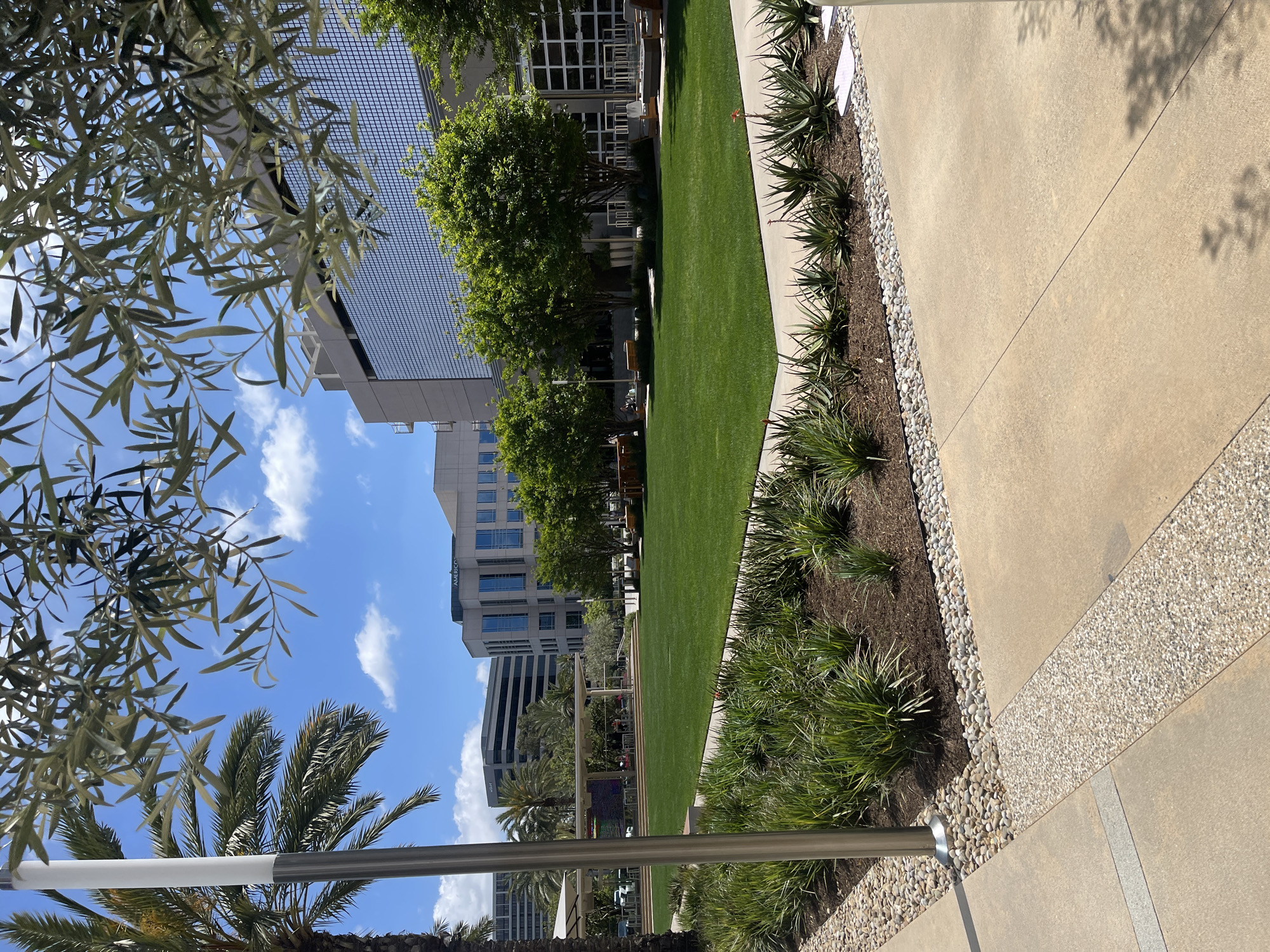 The image depicts an outdoor scene in Irvine, California, United States of America, showcasing modern buildings, landscaping, and a clear sky.
The foreground features a walkway comprised of concrete slabs and sections of aggregate concrete. A linear bed of plants, possibly ornamental grasses, is situated between the walkway and a manicured lawn. The stainless-steel railing of an enclosure runs horizontally across the lower portion of the view.
Beyond the lawn, a row of trees lines the edge, leading to a series of contemporary high-rise buildings. The buildings are characterized by their glass facades and grid-like architectural details. The sky is blue with scattered white clouds, suggesting a sunny day. Elements of olive trees and palm trees frame parts of the sky.