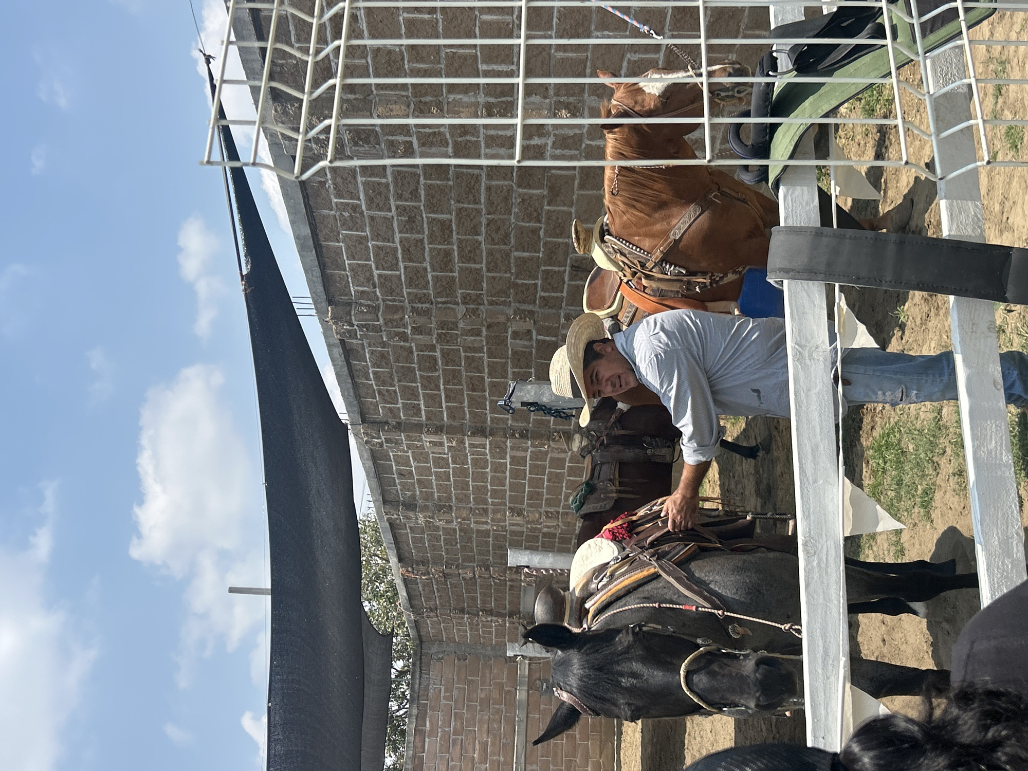 The image depicts a man wearing a straw hat, light blue shirt, and jeans, standing next to a black horse with a saddle. Another brown horse is visible behind the first one. The horses are enclosed in a white metal structure, possibly a stable or pen, with a brick wall visible behind it. A black shade structure is on the left, and the sky is partially visible above. The location is Unknown, Unknown.