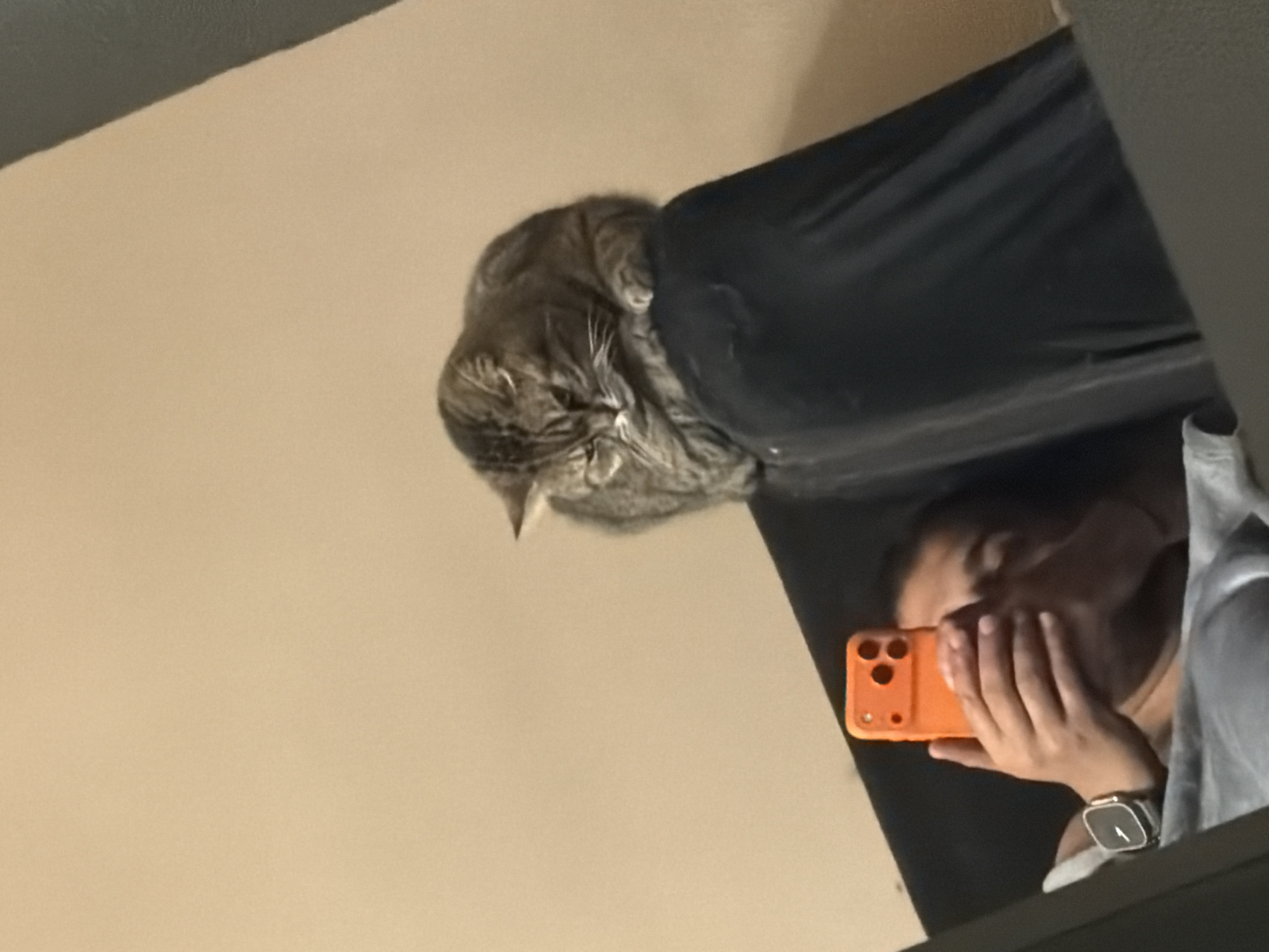 An indoor scene, rotated 90 degrees clockwise, captures a domestic tabby cat resting next to a person holding a smartphone.
In the upper left, a grey and brown striped tabby cat is curled up on a dark grey or black upholstered surface, possibly a sofa or bed. The cat appears to be asleep or resting peacefully, with its eyes closed.
To the right of the cat, a person is partially visible, holding a bright orange mobile phone in their right hand. The phone is an iPhone with a visible triple camera setup on its rear. The person's face is largely obscured by their left hand, which covers their mouth and chin. A black smartwatch with a square face and a white number '1' displayed is worn on their left wrist. They are wearing a light-colored top, possibly a shirt.
The background consists of a plain, light beige or cream-colored wall or surface, creating a simple and uncluttered setting. The lighting suggests an indoor environment. The overall impression is a calm, domestic moment, taking place in Sofia, Bulgaria.